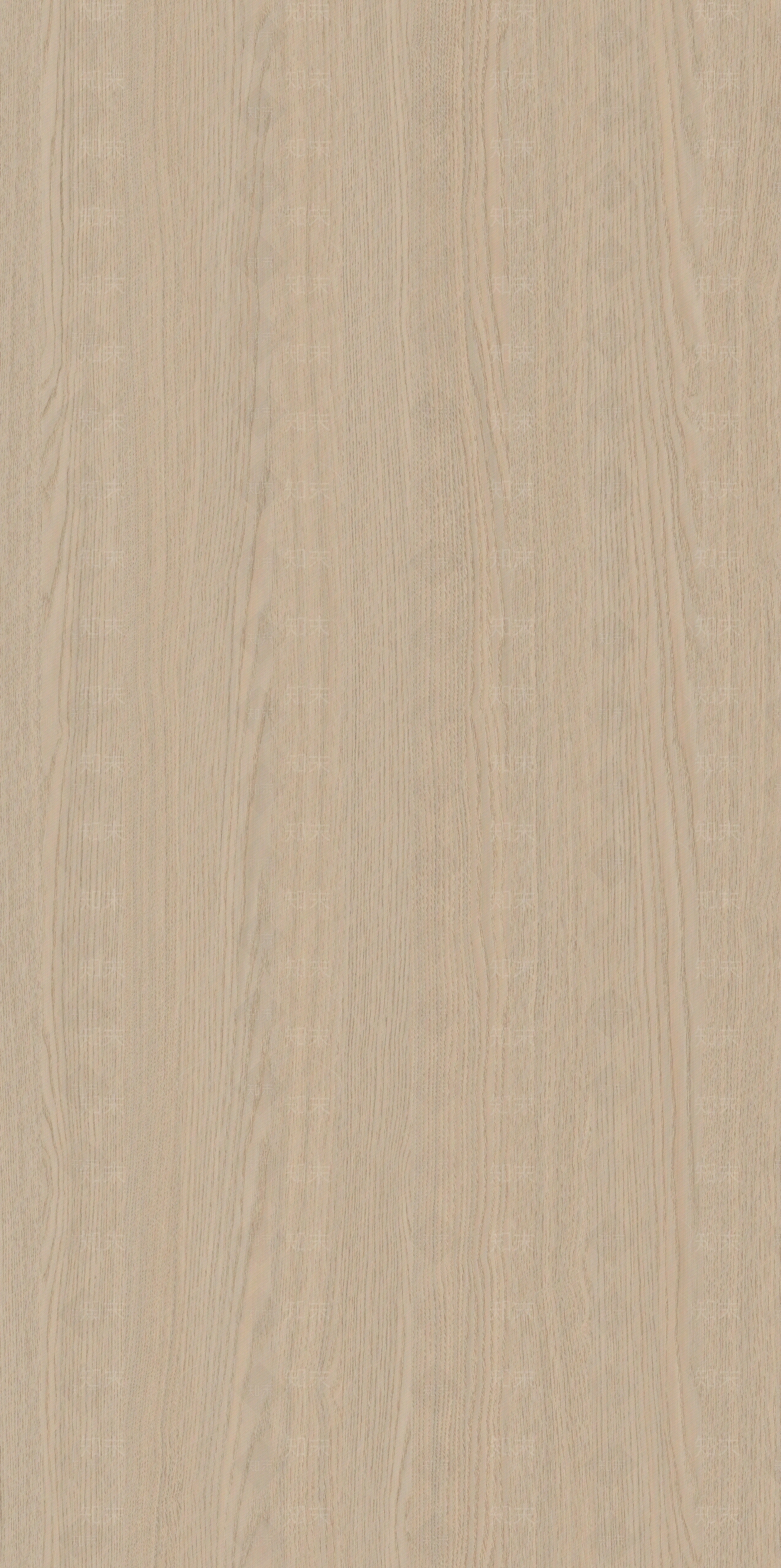 现代简约橡木木纹贴图下载【ID:1191897895】