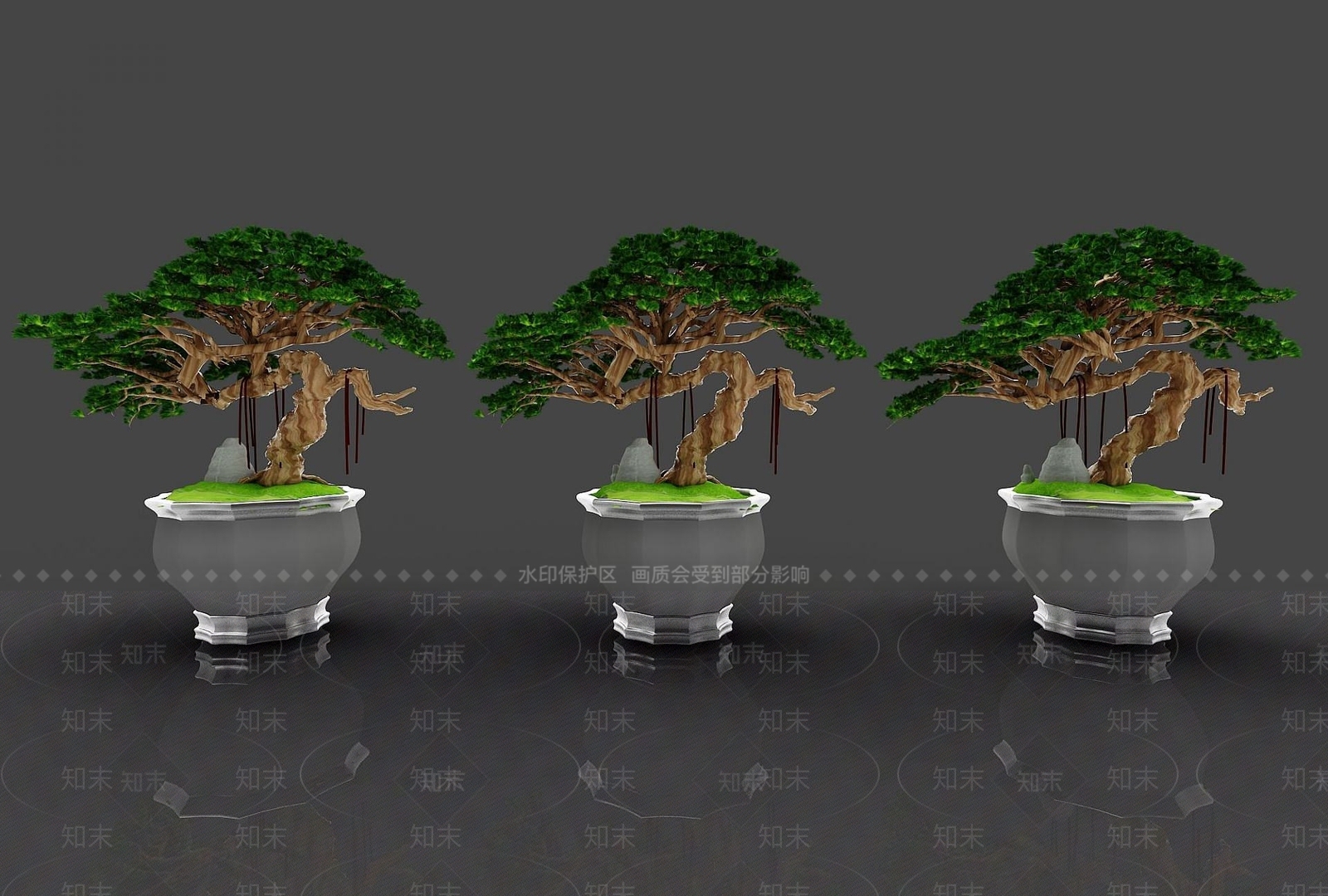 现代装饰植物3D模型下载【ID:1191914994】