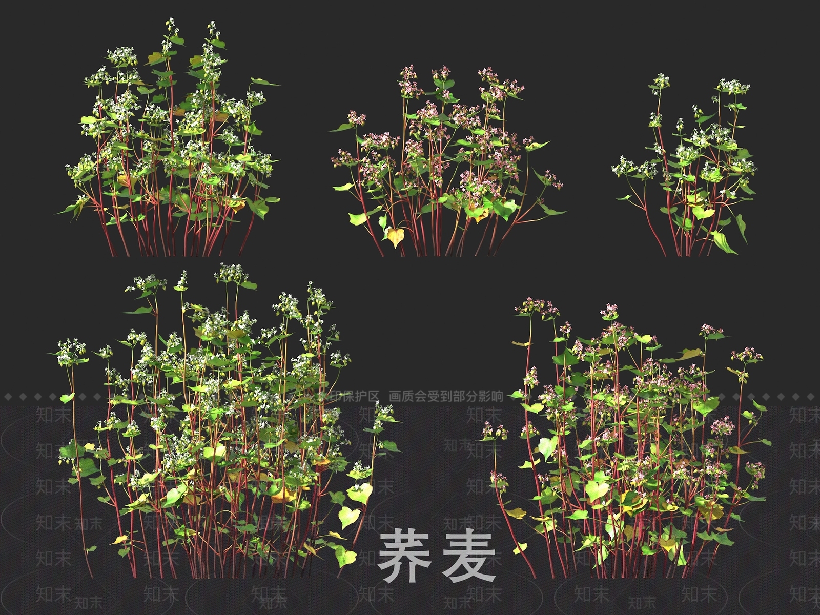 农作物3D模型下载【ID:1191928526】
