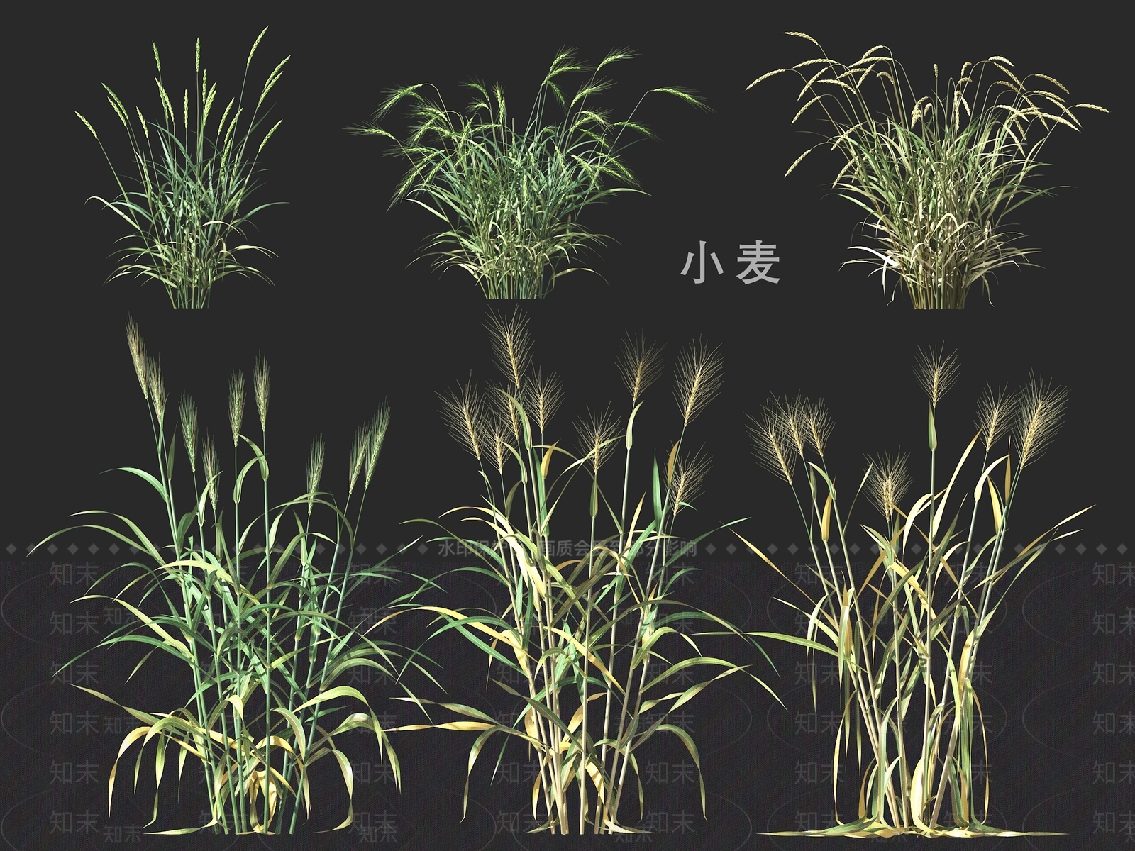 农作物3D模型下载【ID:1191928913】