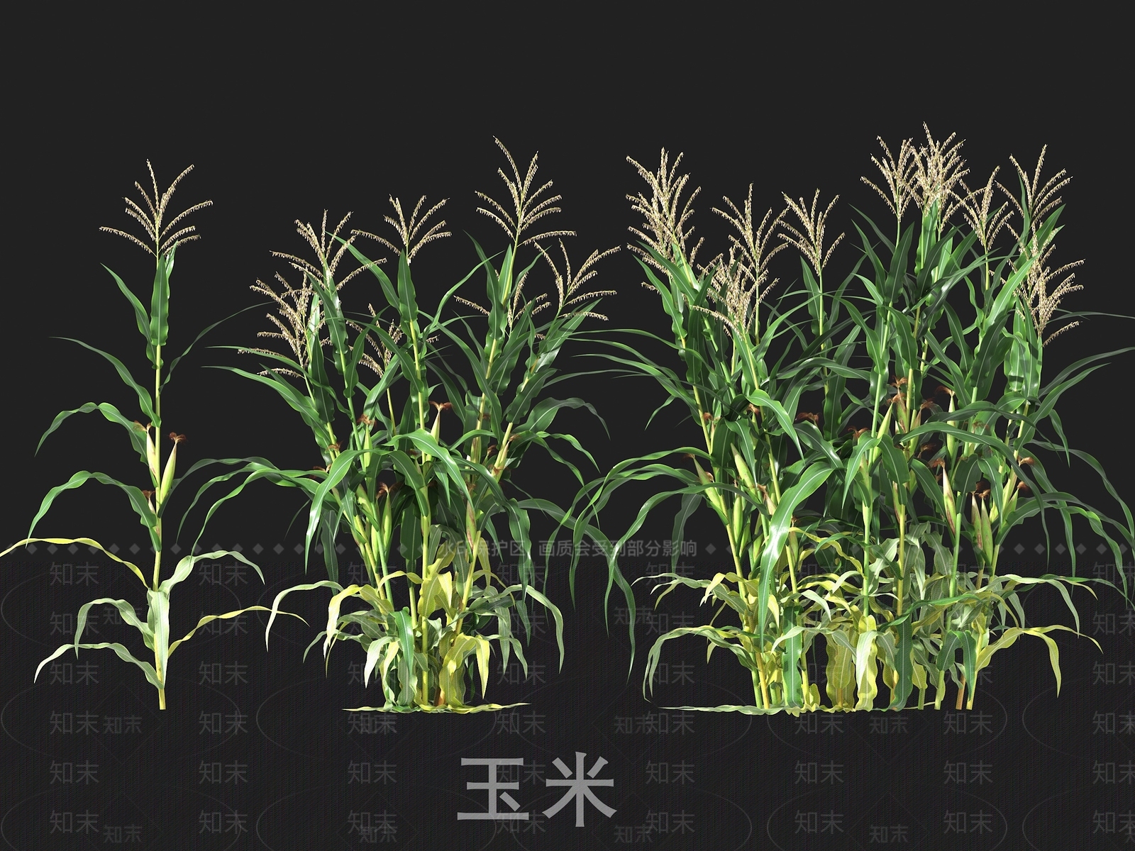 农作物3D模型下载【ID:1191929151】