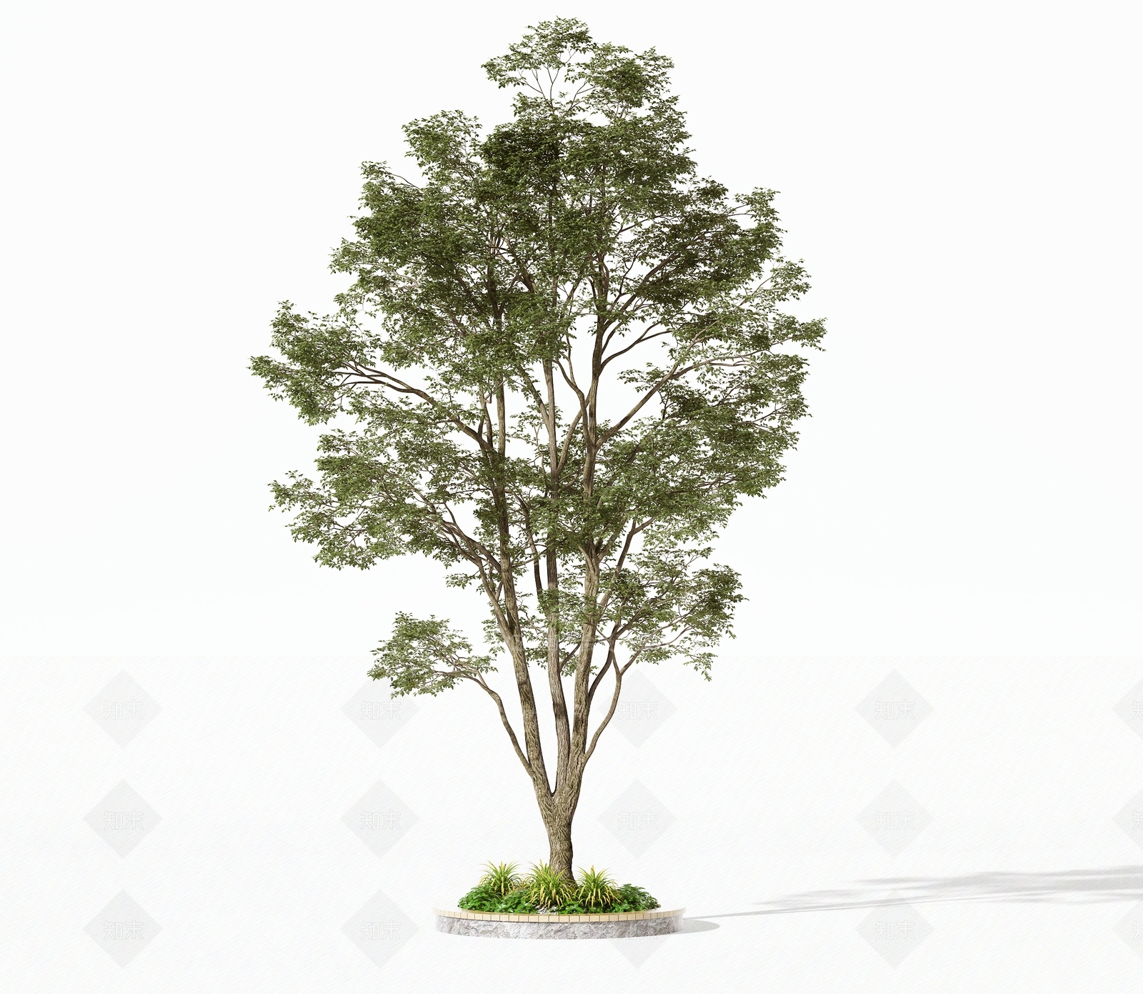 乔木3D模型下载【ID:1191935652】