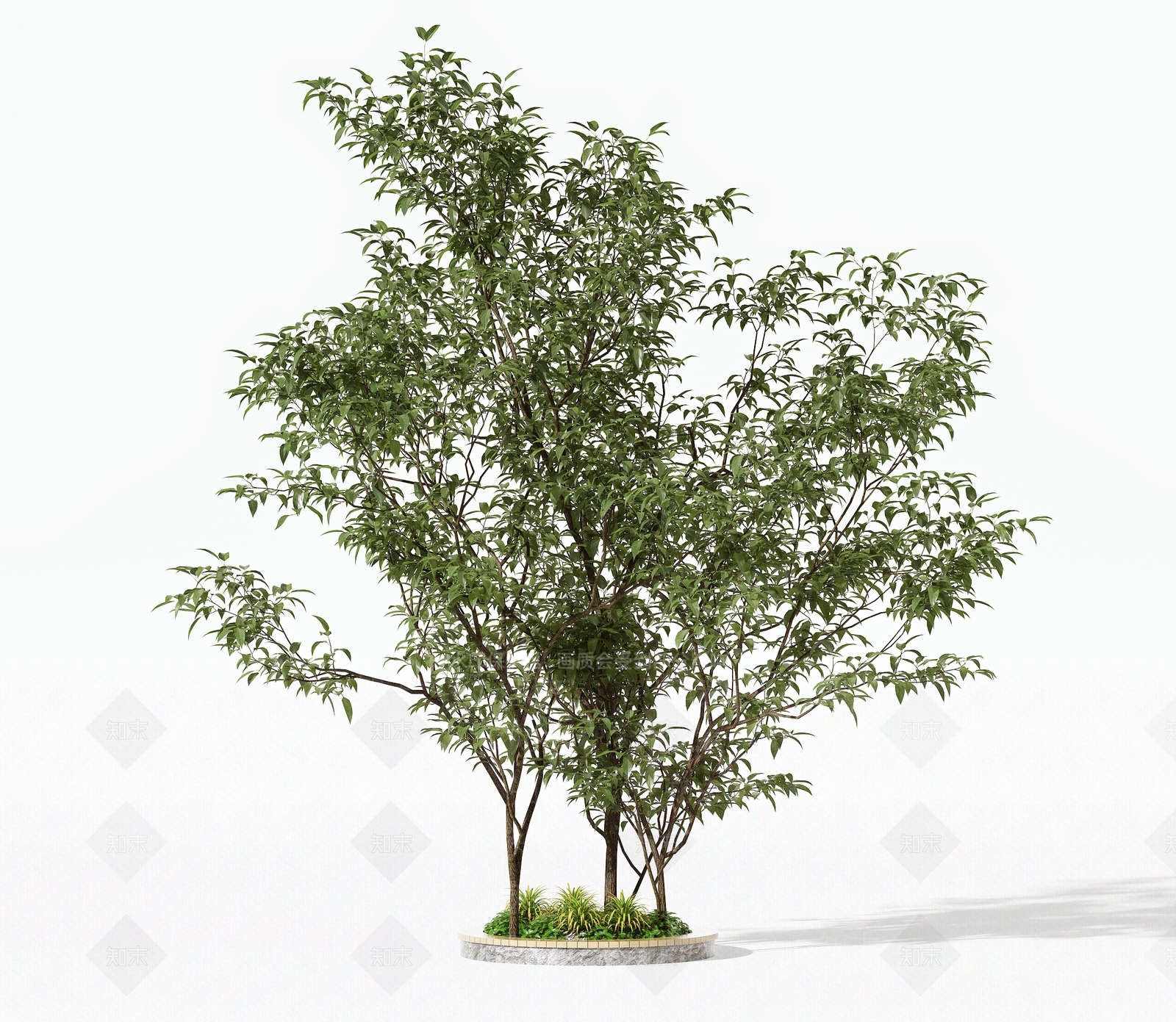 灌木3D模型下载【ID:1191935733】
