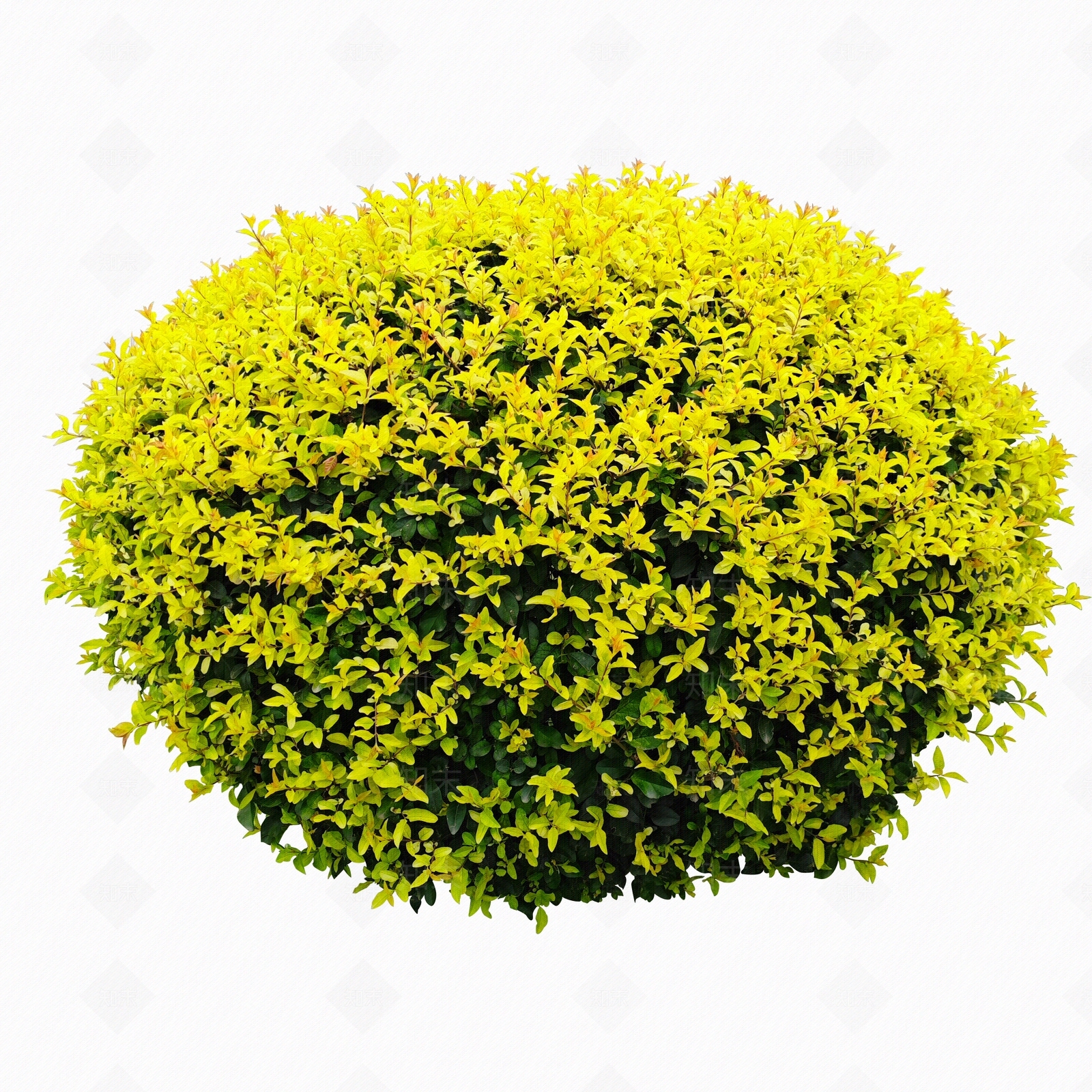 现代其他木材贴图下载【ID:1191937724】