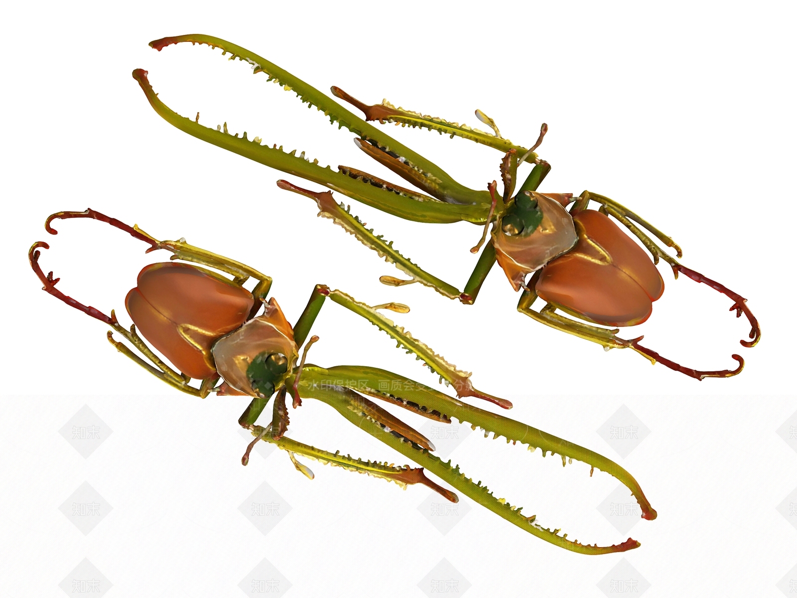 爬行类动物3D模型下载【ID:1191965220】