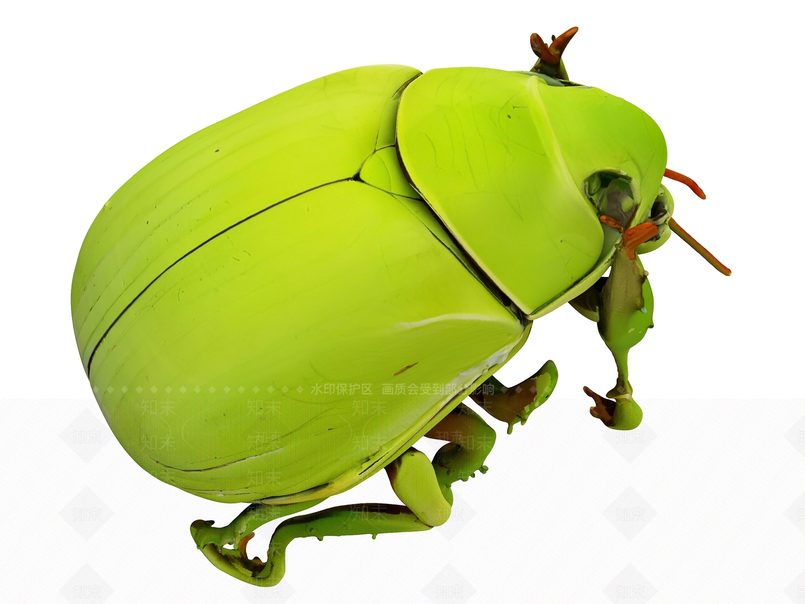 爬行类动物3D模型下载【ID:1191965317】