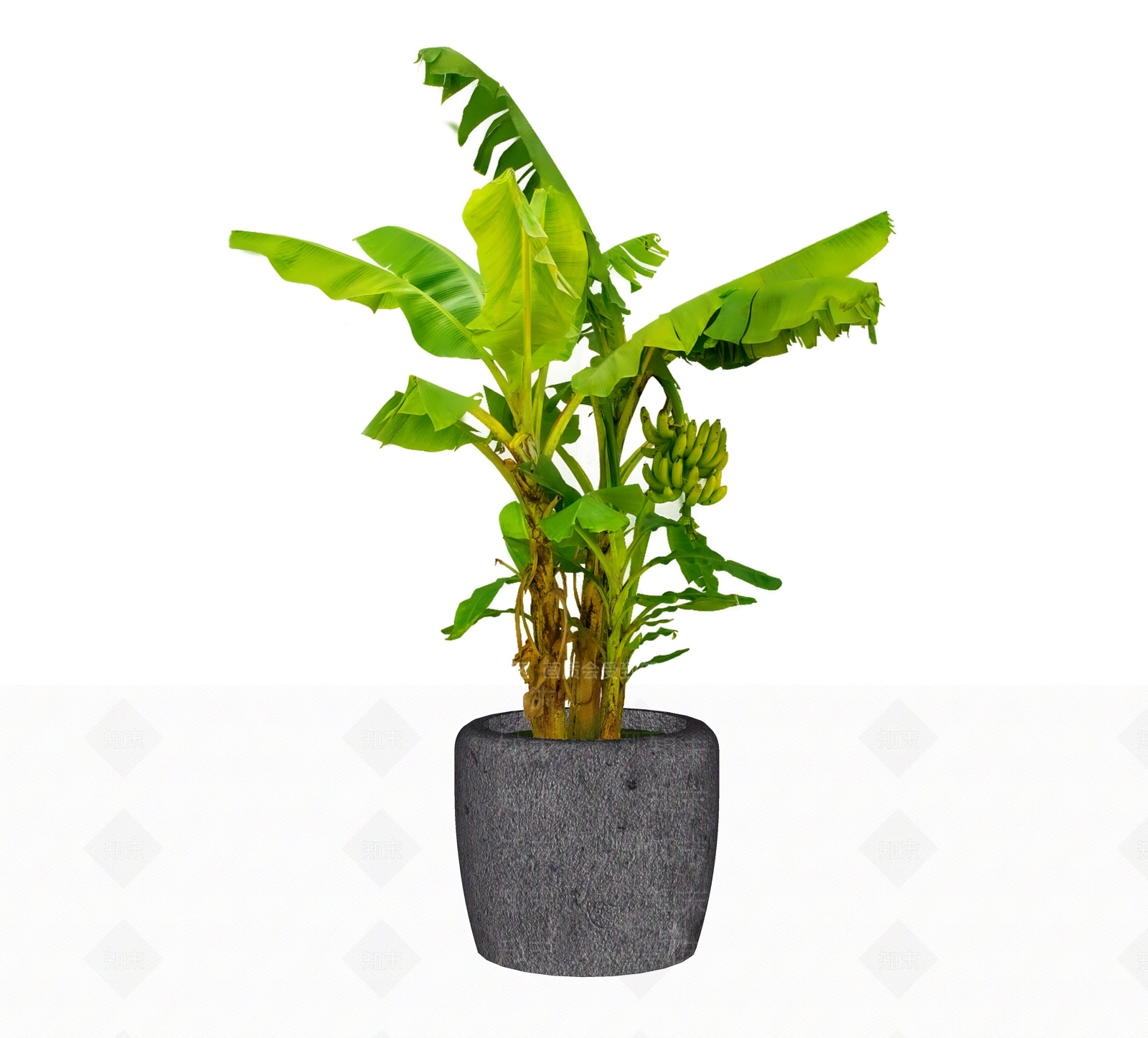 2D盆栽SU模型下载【ID:1191968556】