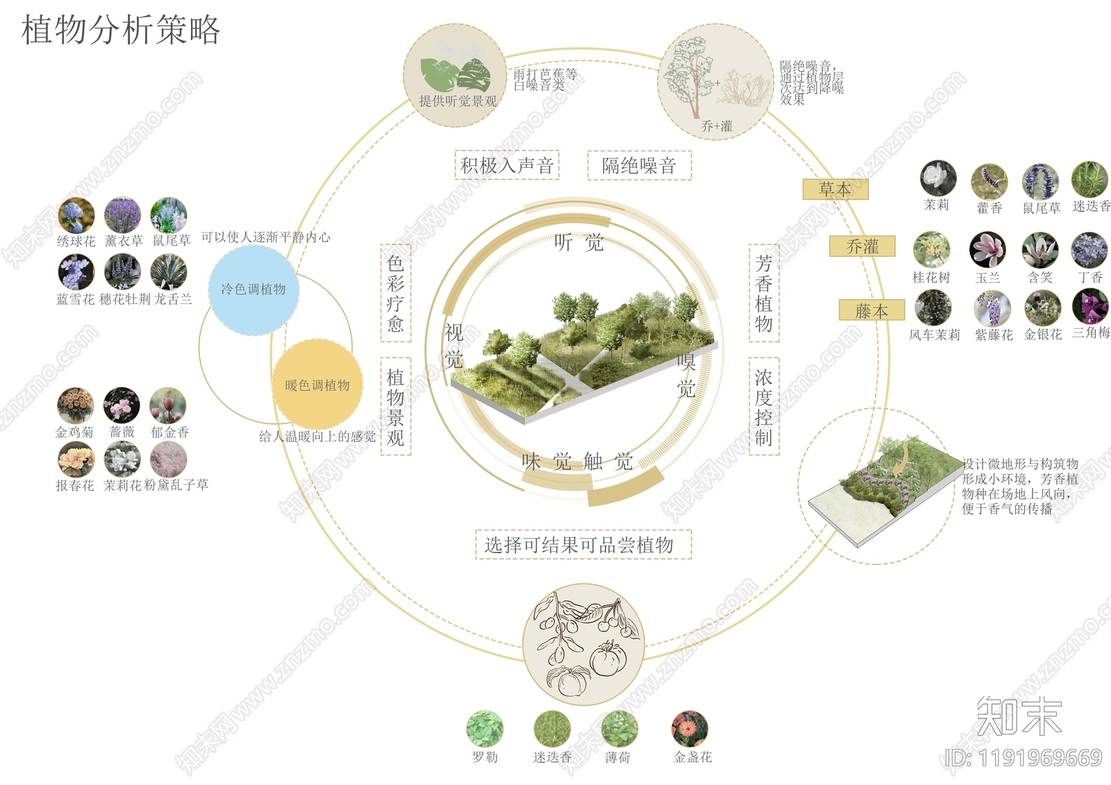 植物分析图设计素材精品下载_知末网