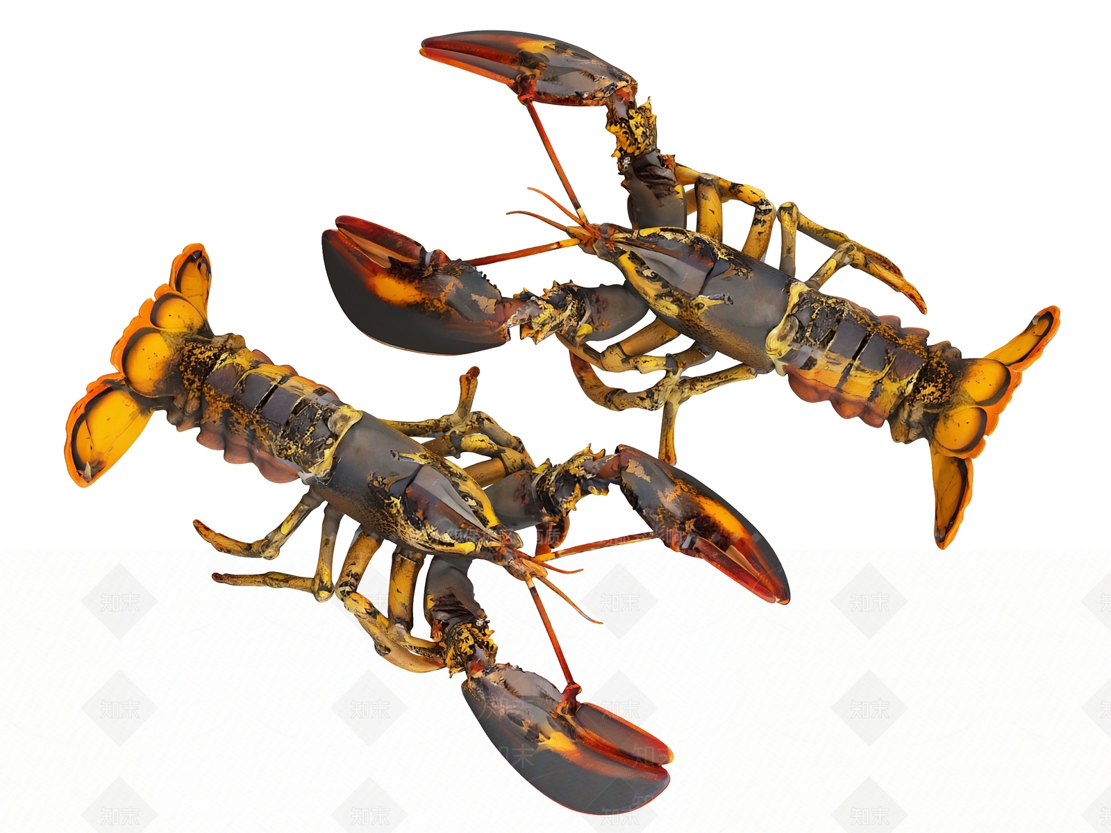 爬行类动物3D模型下载【ID:1191970671】