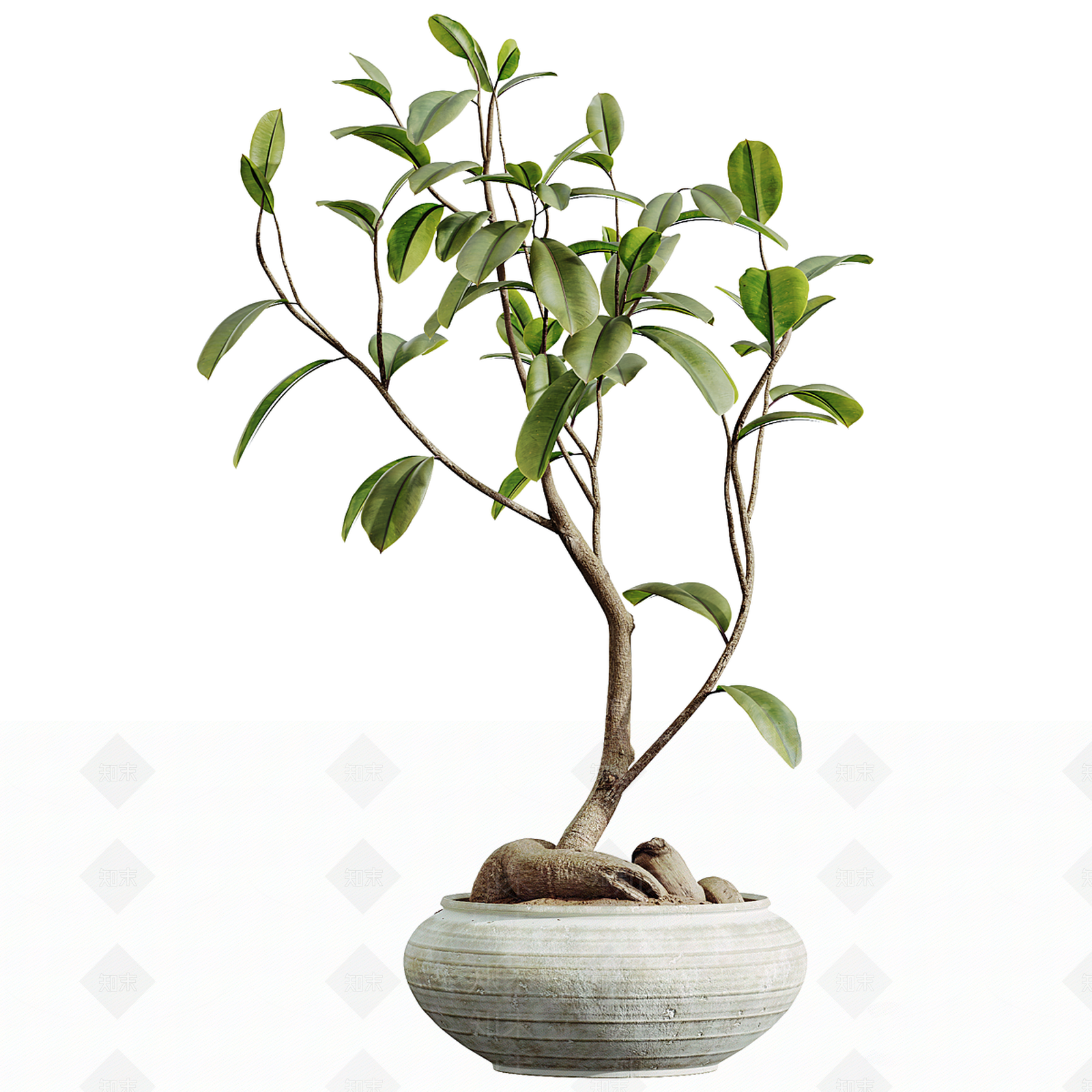 盆栽3D模型下载【ID:1191971536】