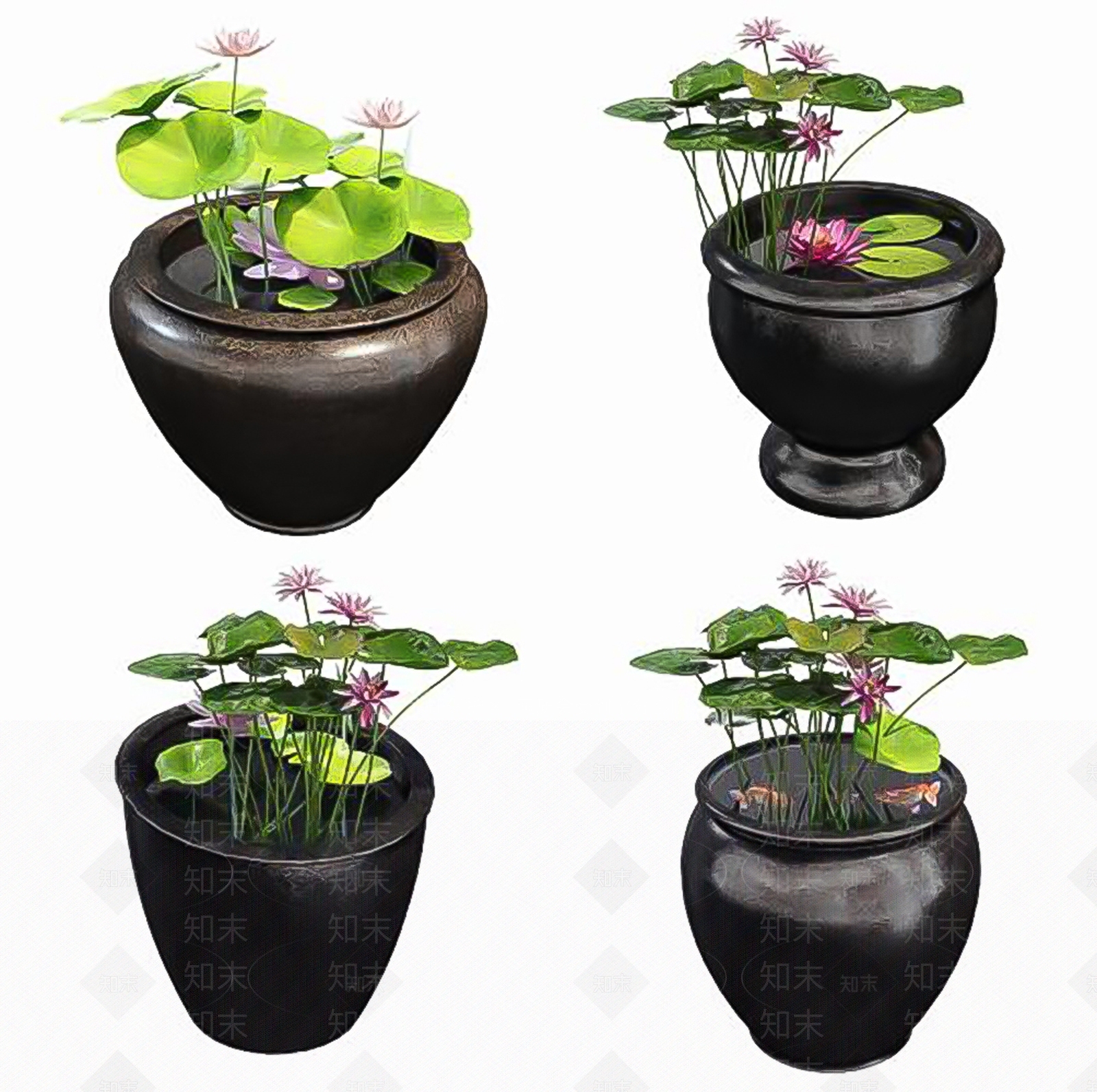 水生植物SU模型下载【ID:1192013145】