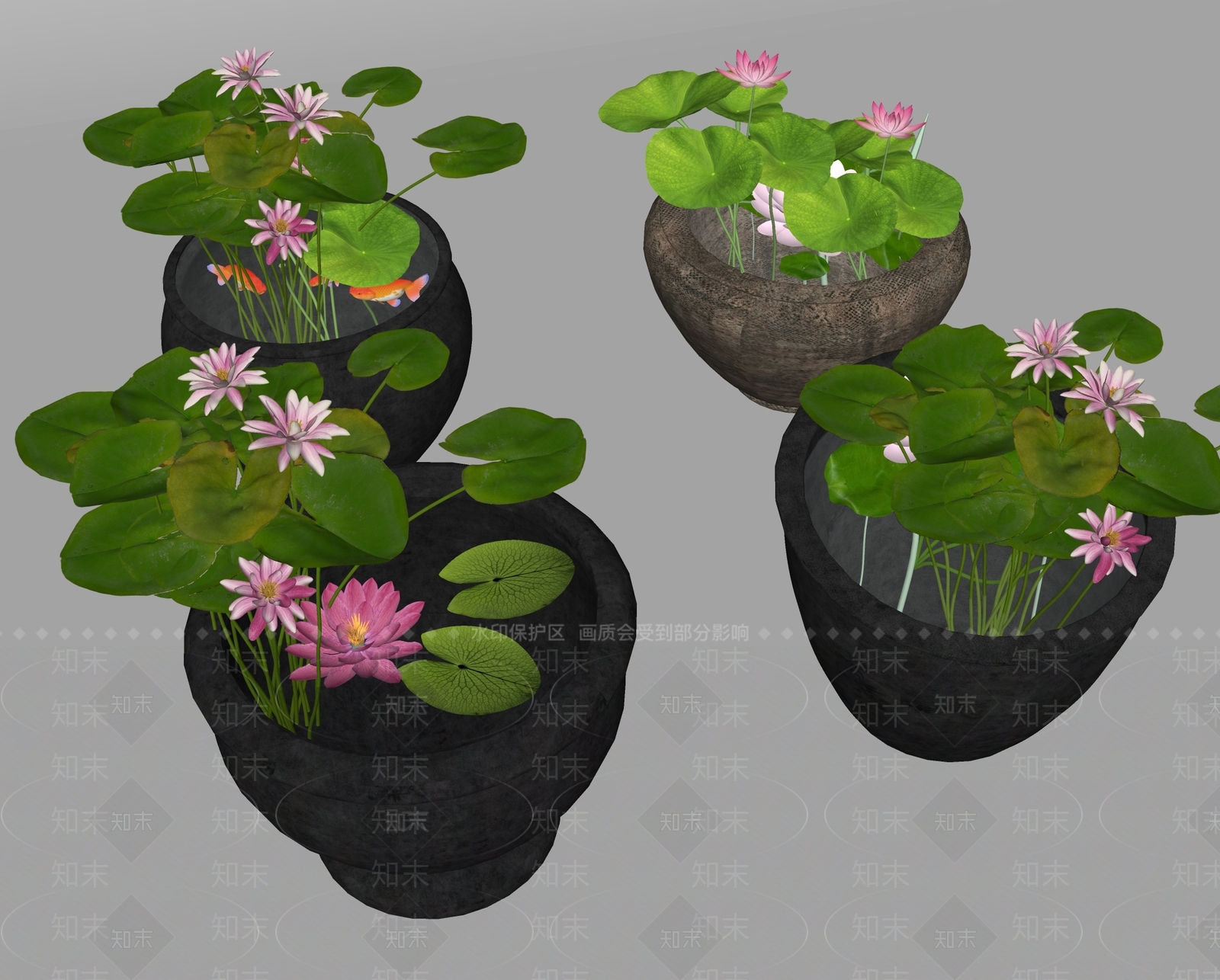 水生植物SU模型下载【ID:1192013145】