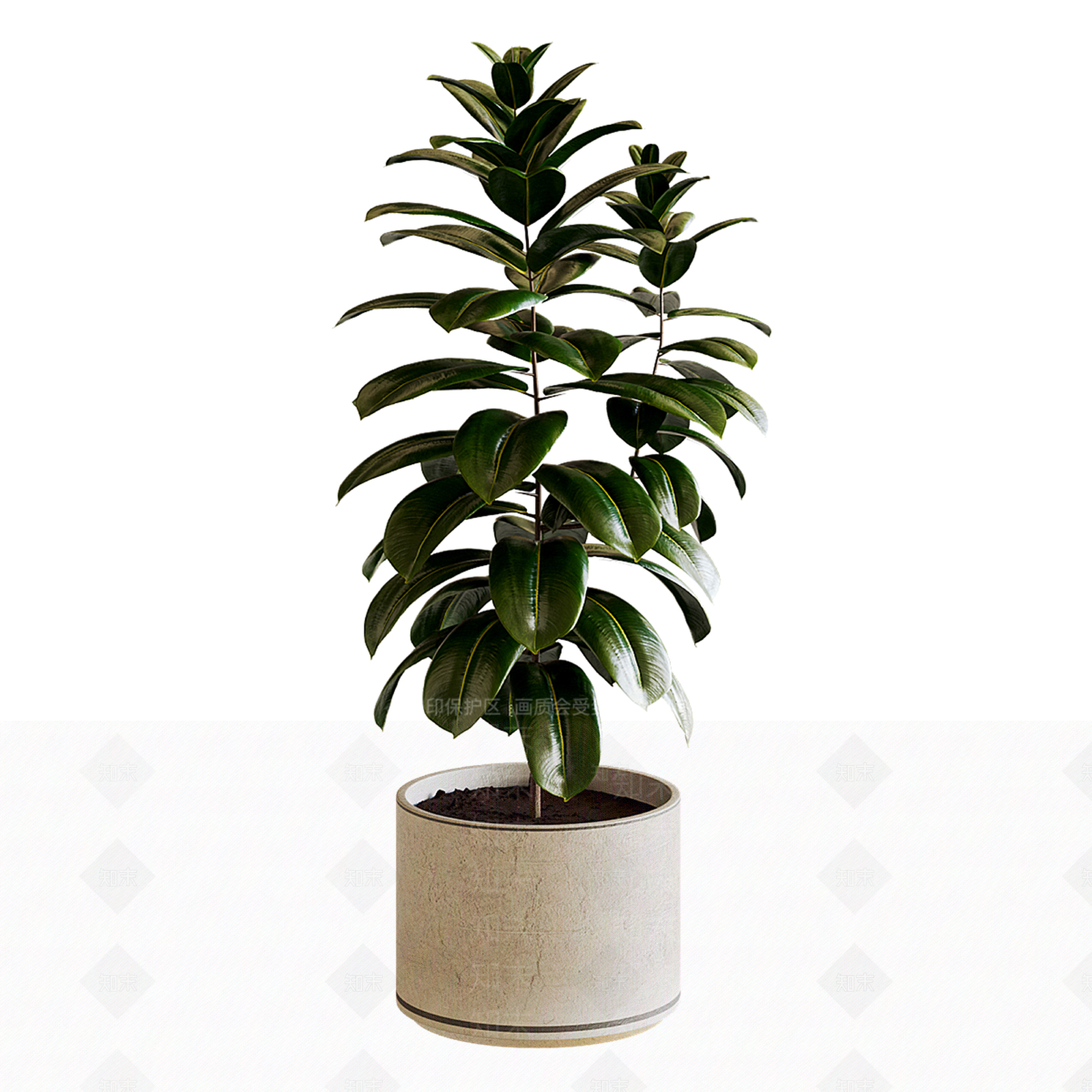 盆栽SU模型下载【ID:1192013923】