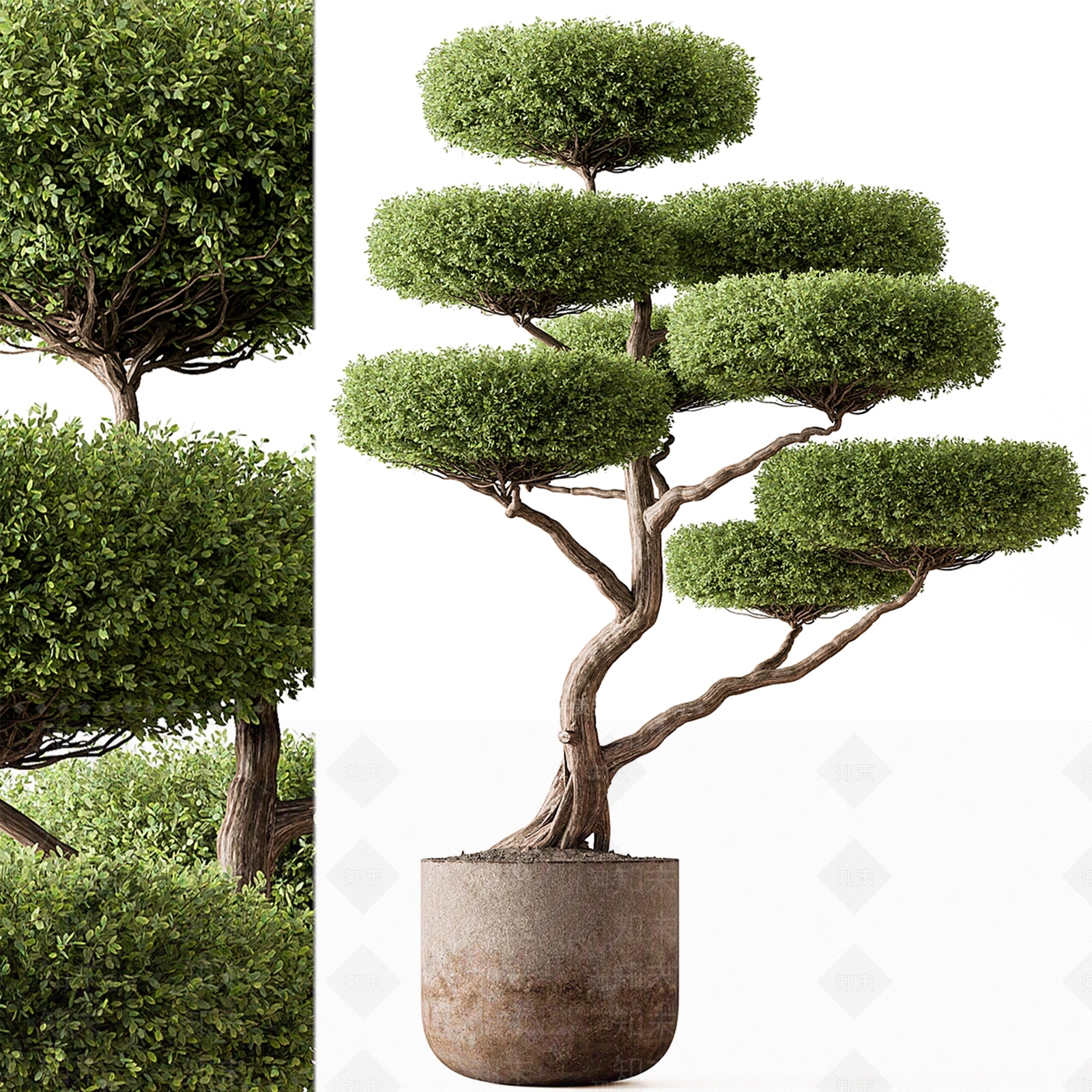 盆栽3D模型下载【ID:1192020245】