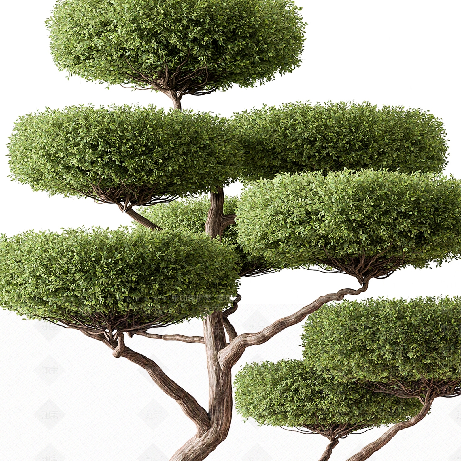 盆栽3D模型下载【ID:1192020245】