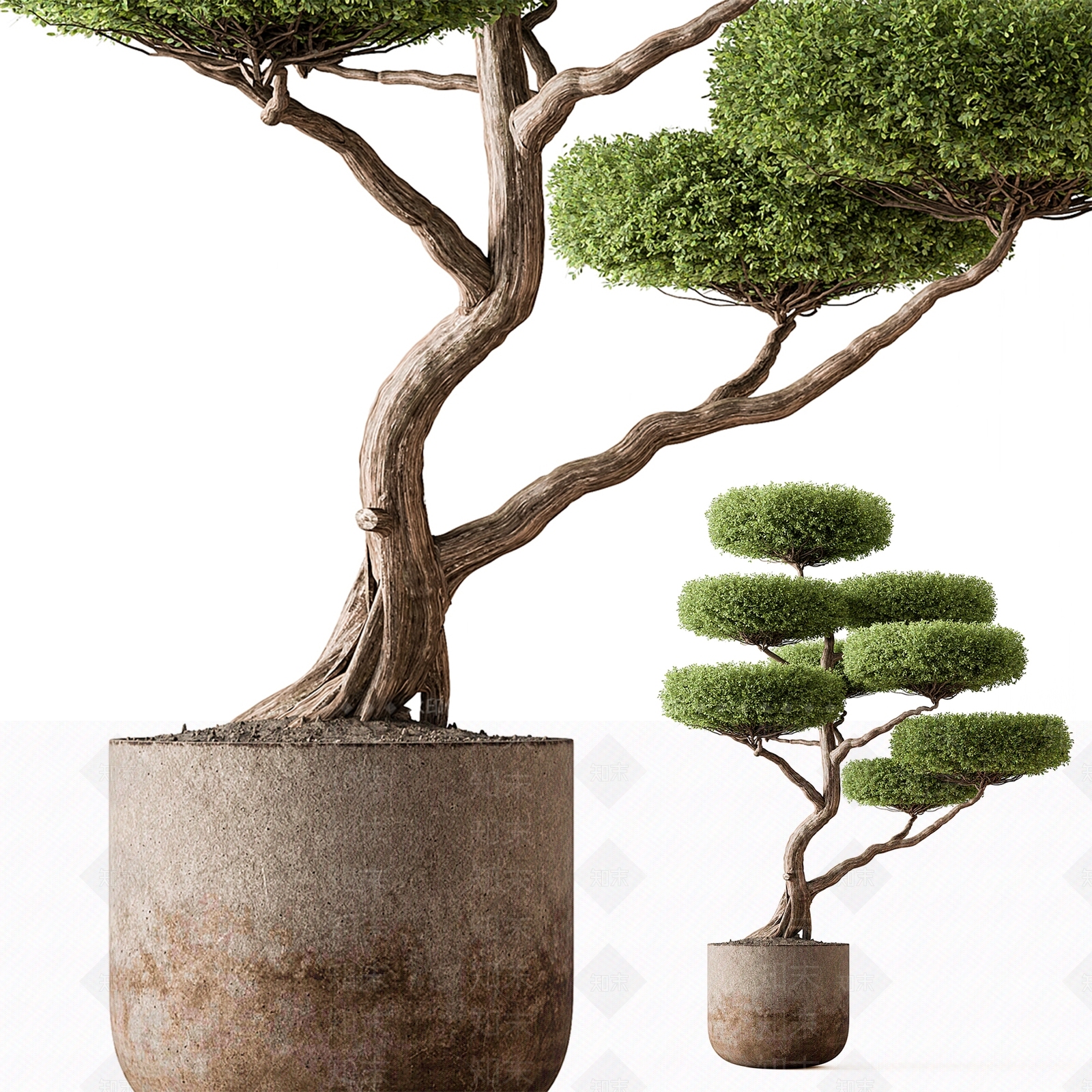 盆栽SU模型下载【ID:1192020339】