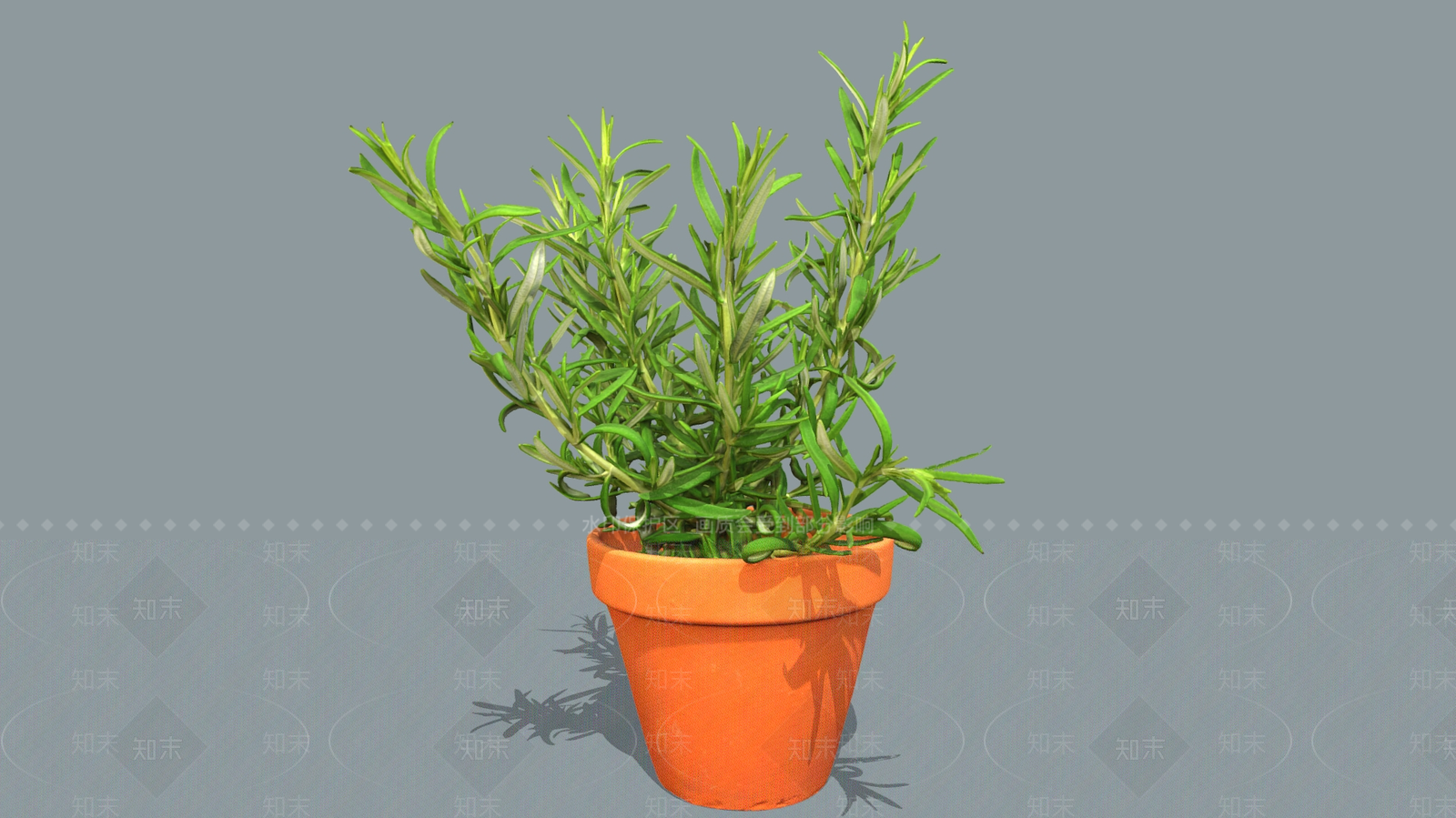 盆栽3D模型下载【ID:1192024318】