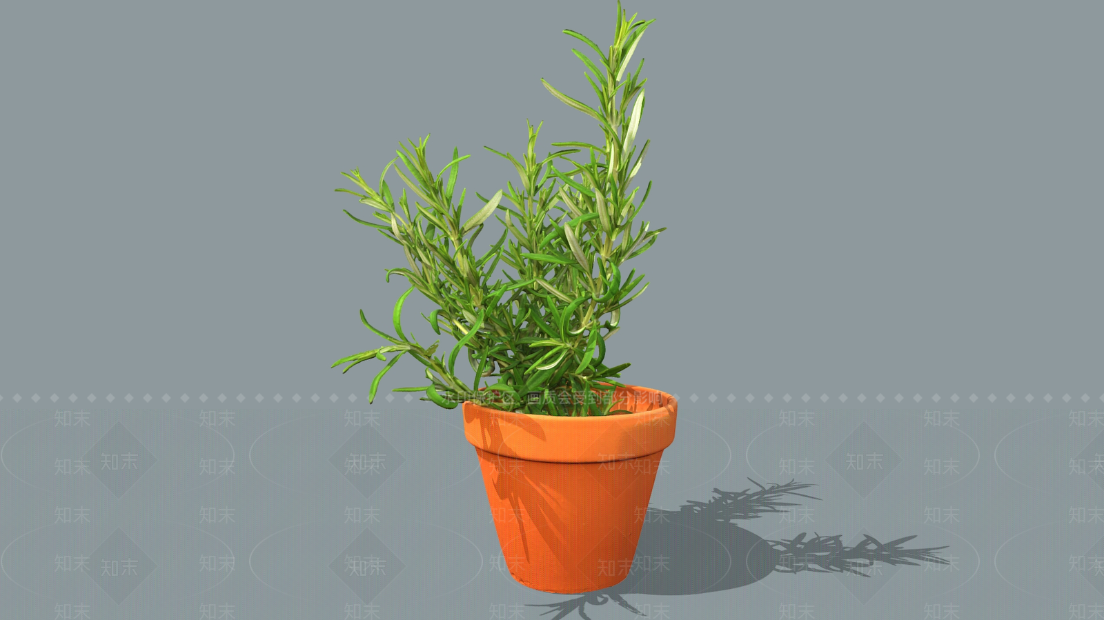 盆栽3D模型下载【ID:1192024318】