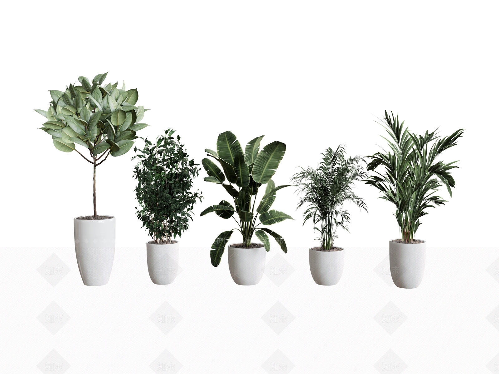 植物组合SU模型下载【ID:1192029889】