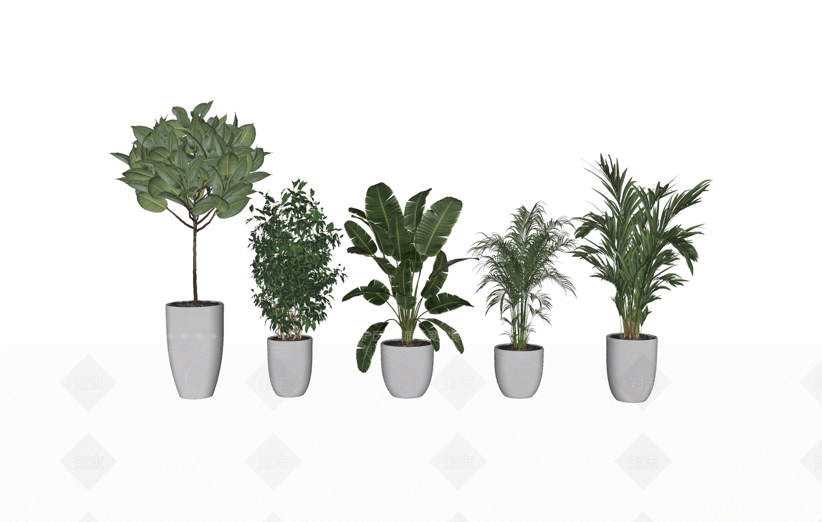 植物组合SU模型下载【ID:1192029889】
