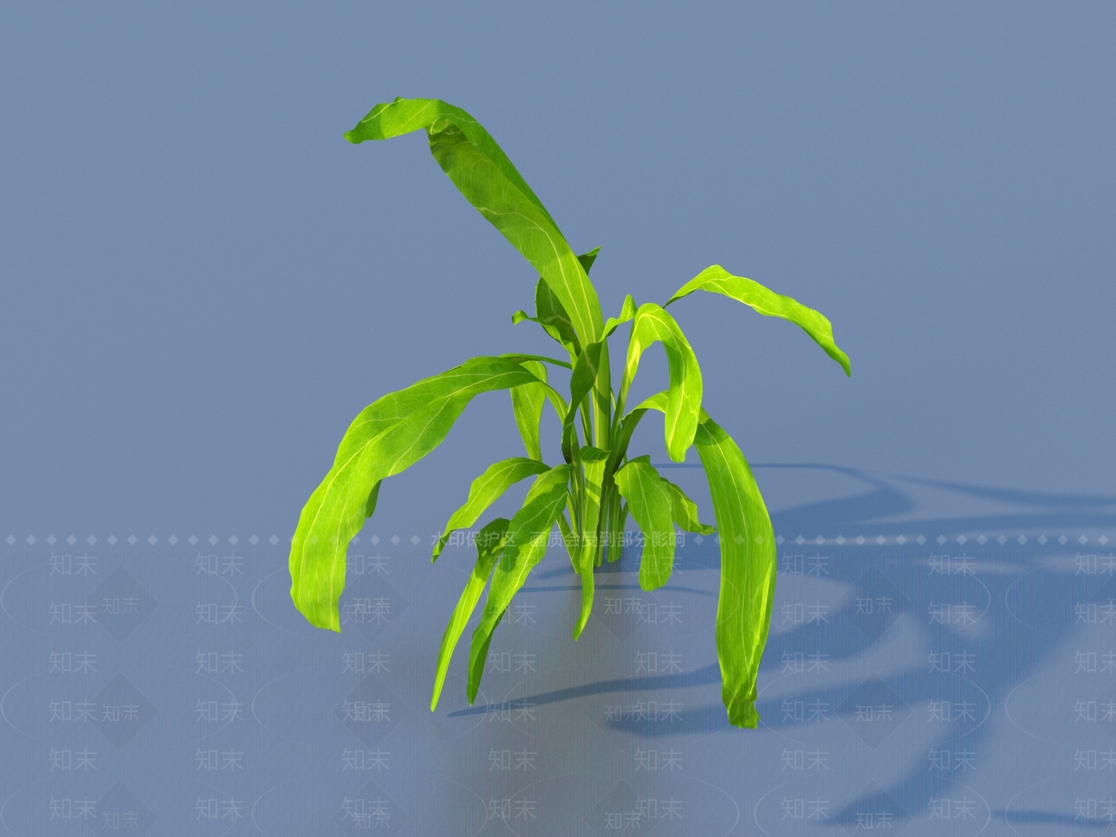 花草组合3D模型下载【ID:1192036552】