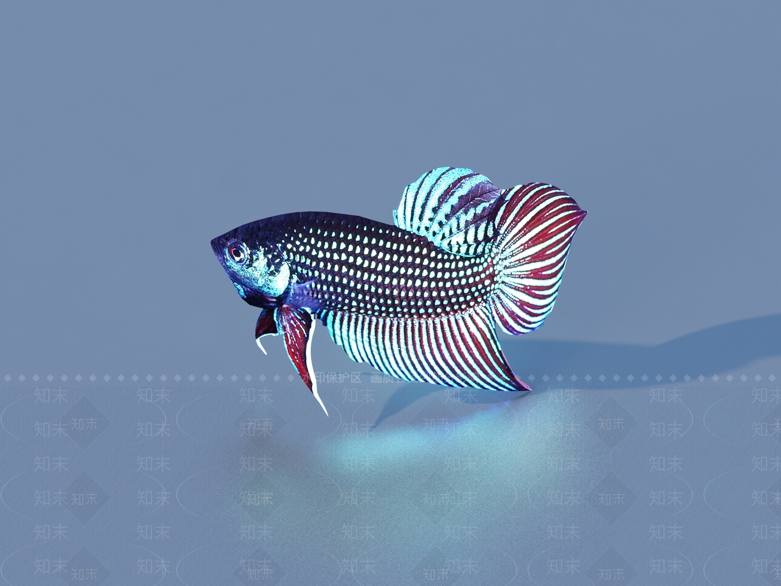 水生类动物3D模型下载【ID:1192037003】