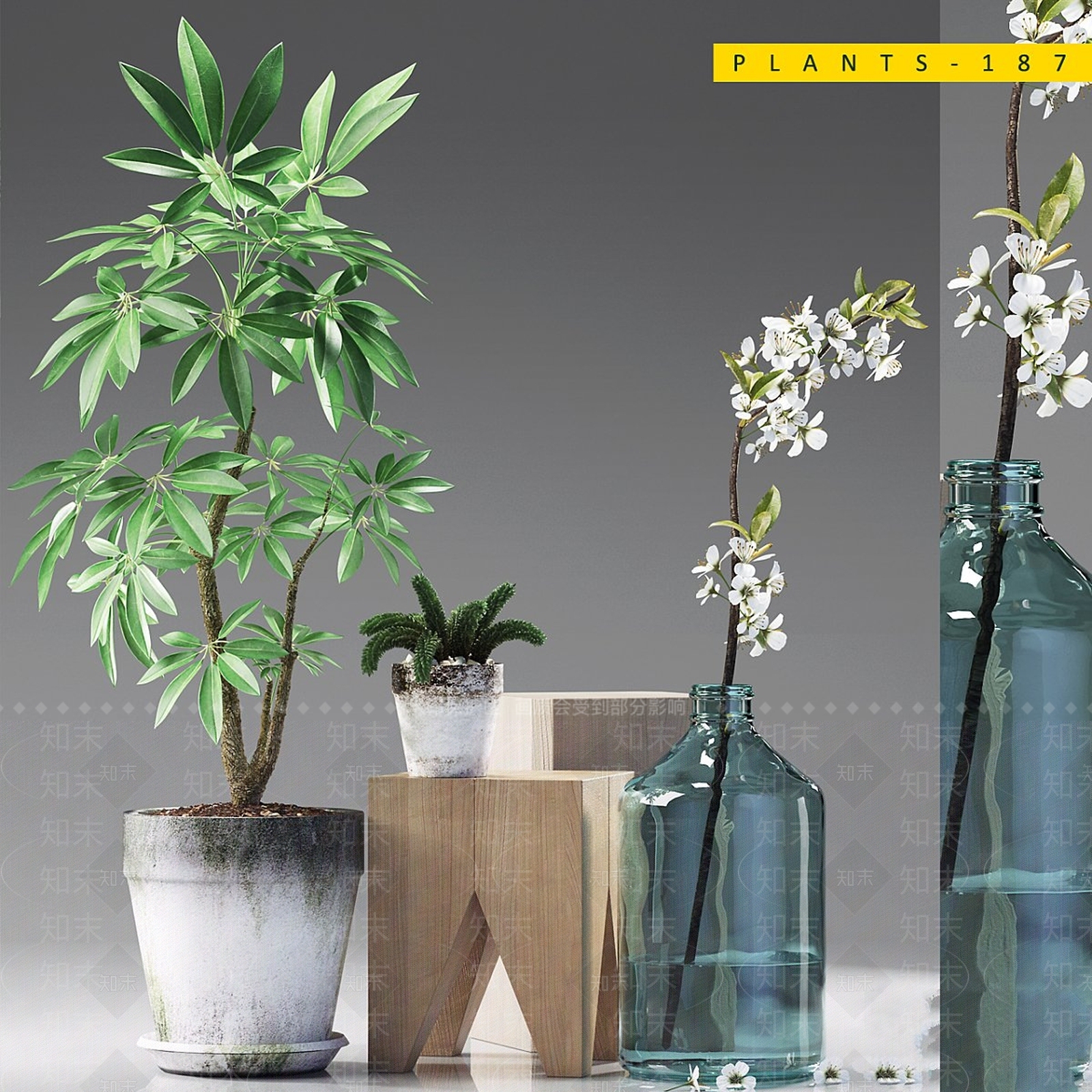 盆栽3D模型下载【ID:1192041691】