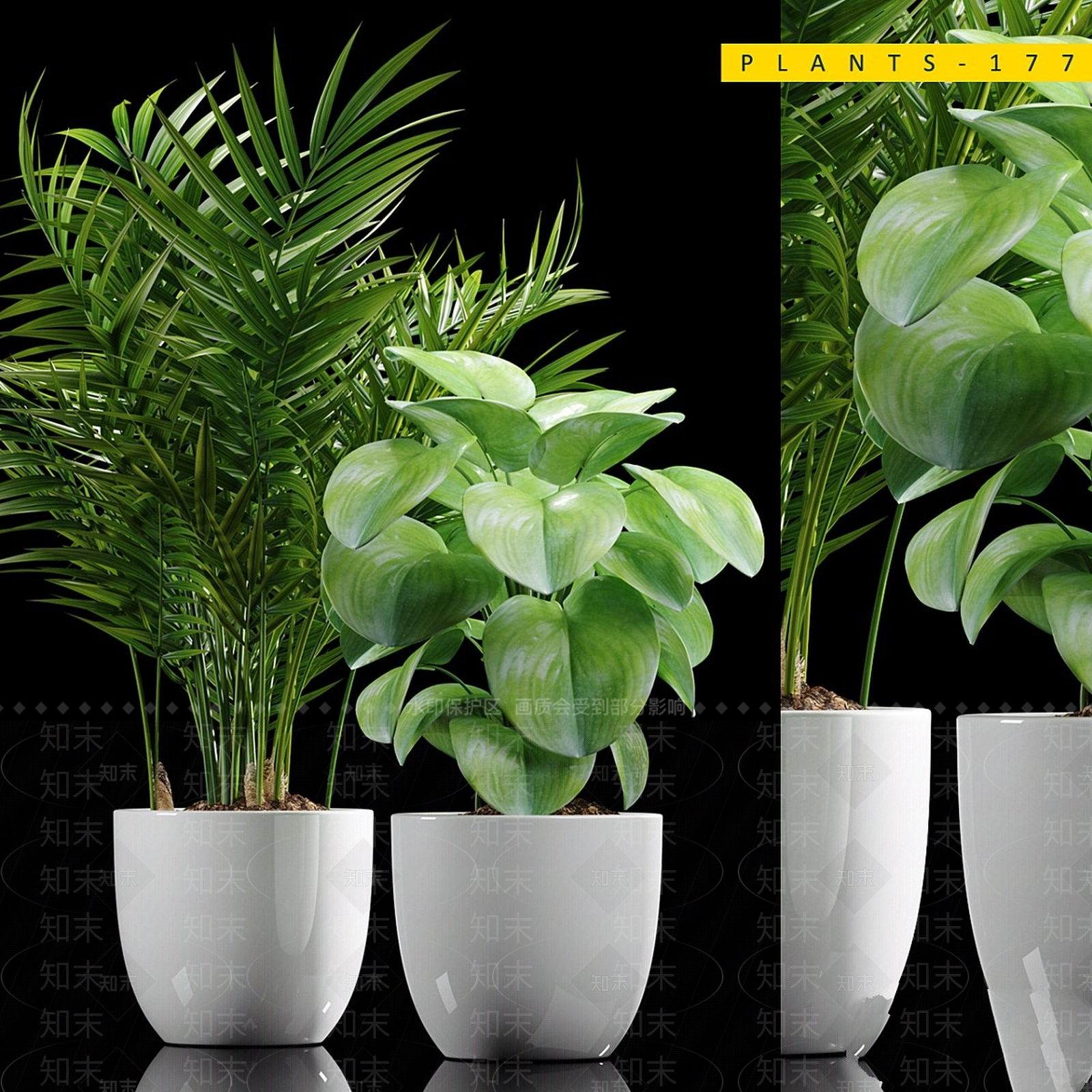 盆栽3D模型下载【ID:1192041645】