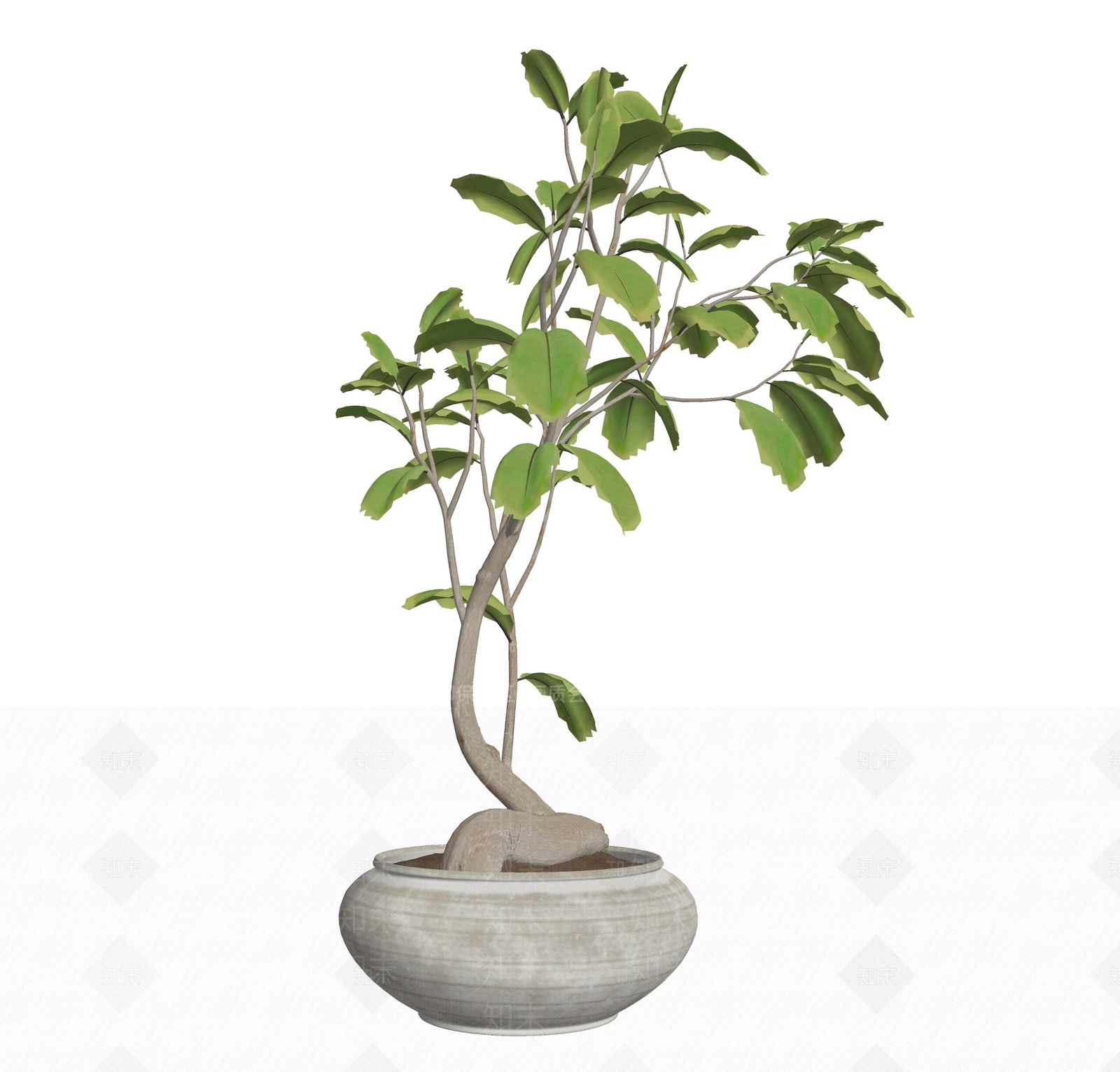 盆栽SU模型下载【ID:1192059627】