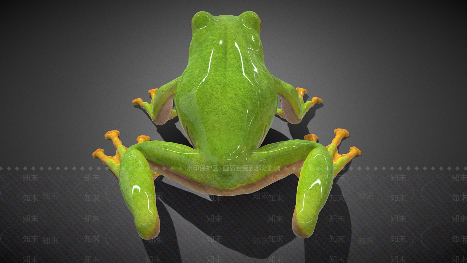 爬行类动物3D模型下载【ID:1192075543】