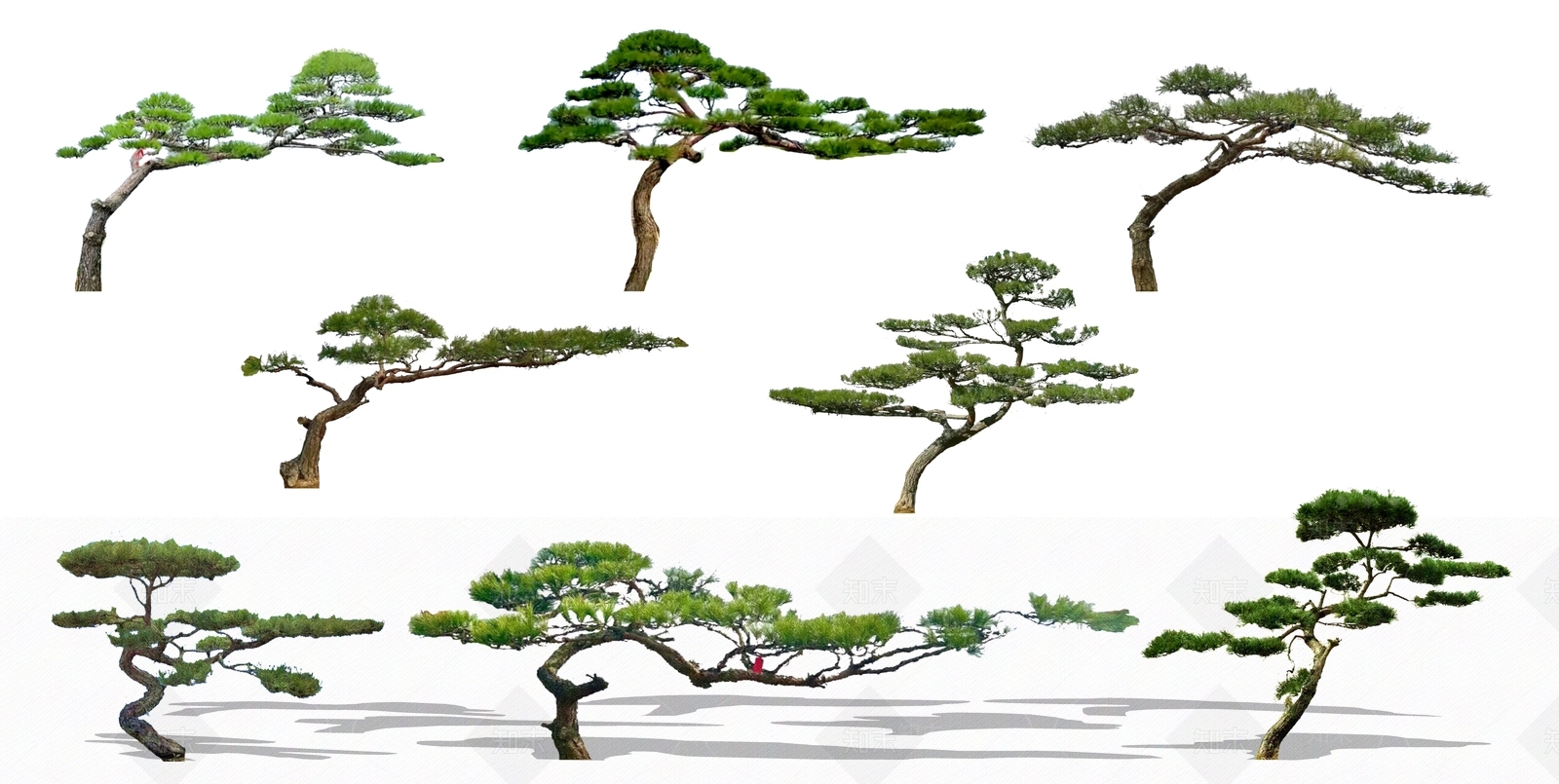 植物组合SU模型下载【ID:1192106220】