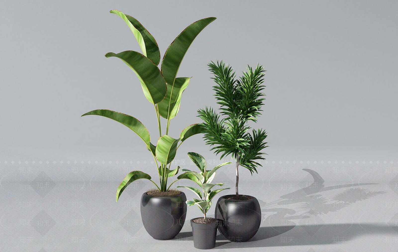 现代盆栽3D模型下载【ID:1192118351】