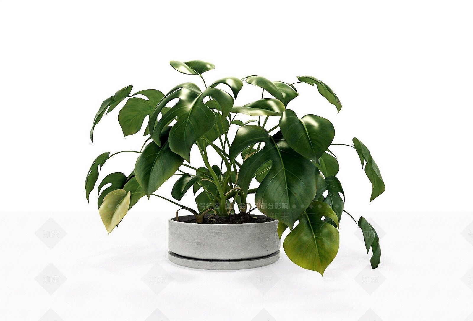 现代盆栽3D模型下载【ID:1192118996】