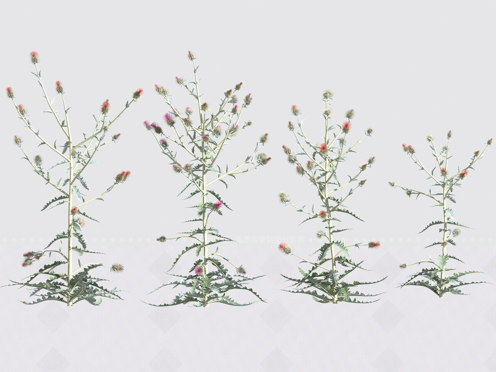 花3D模型下载【ID:1192132012】