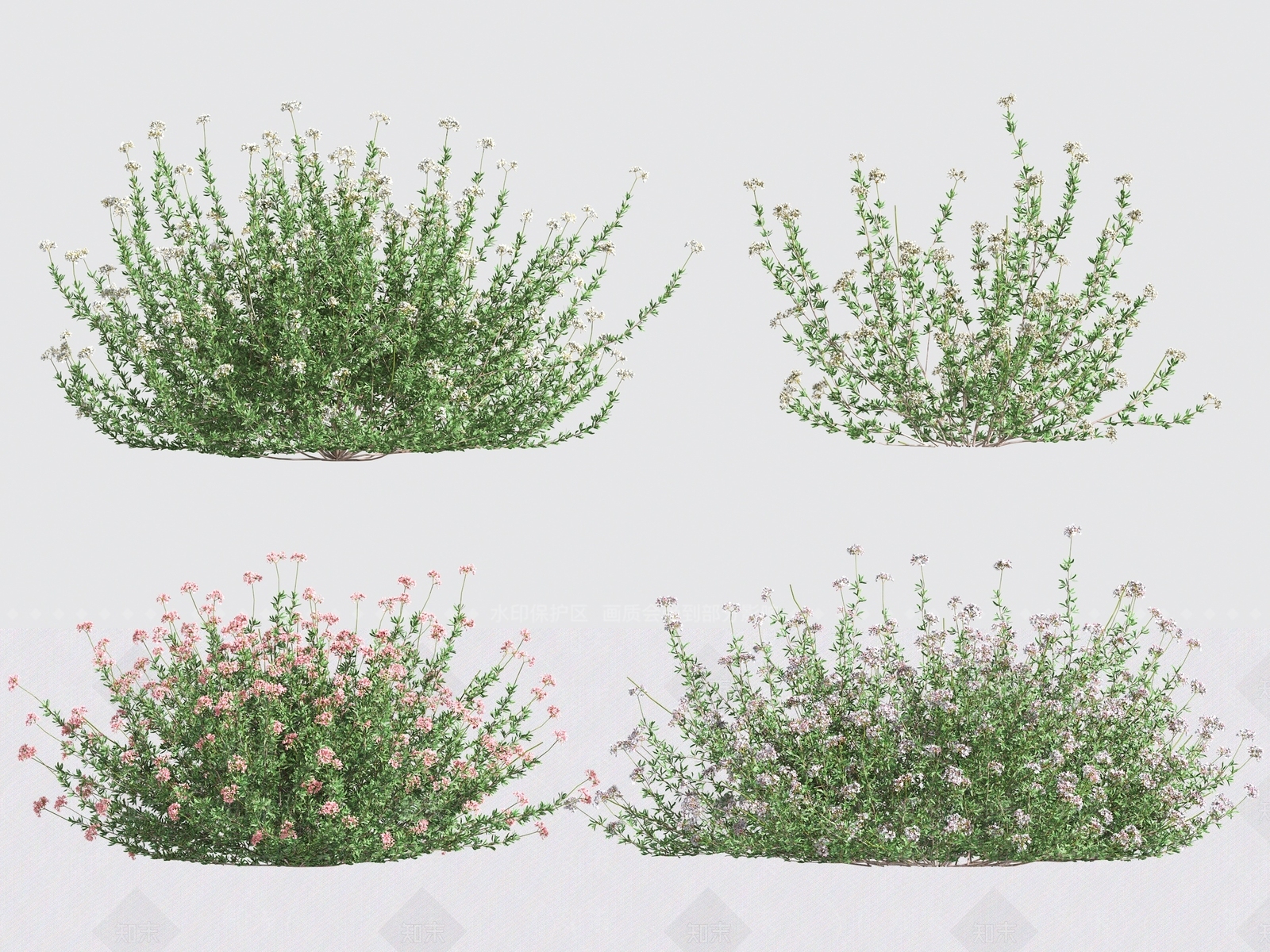 花3D模型下载【ID:1192132286】