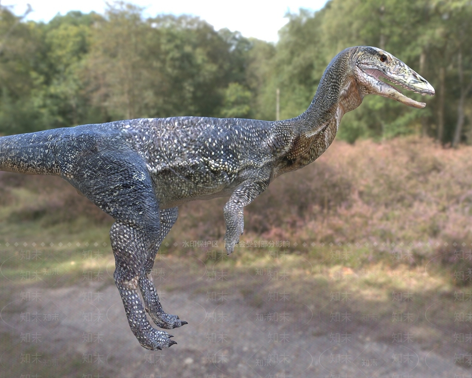 现代爬行类动物3D模型下载【ID:1192147482】