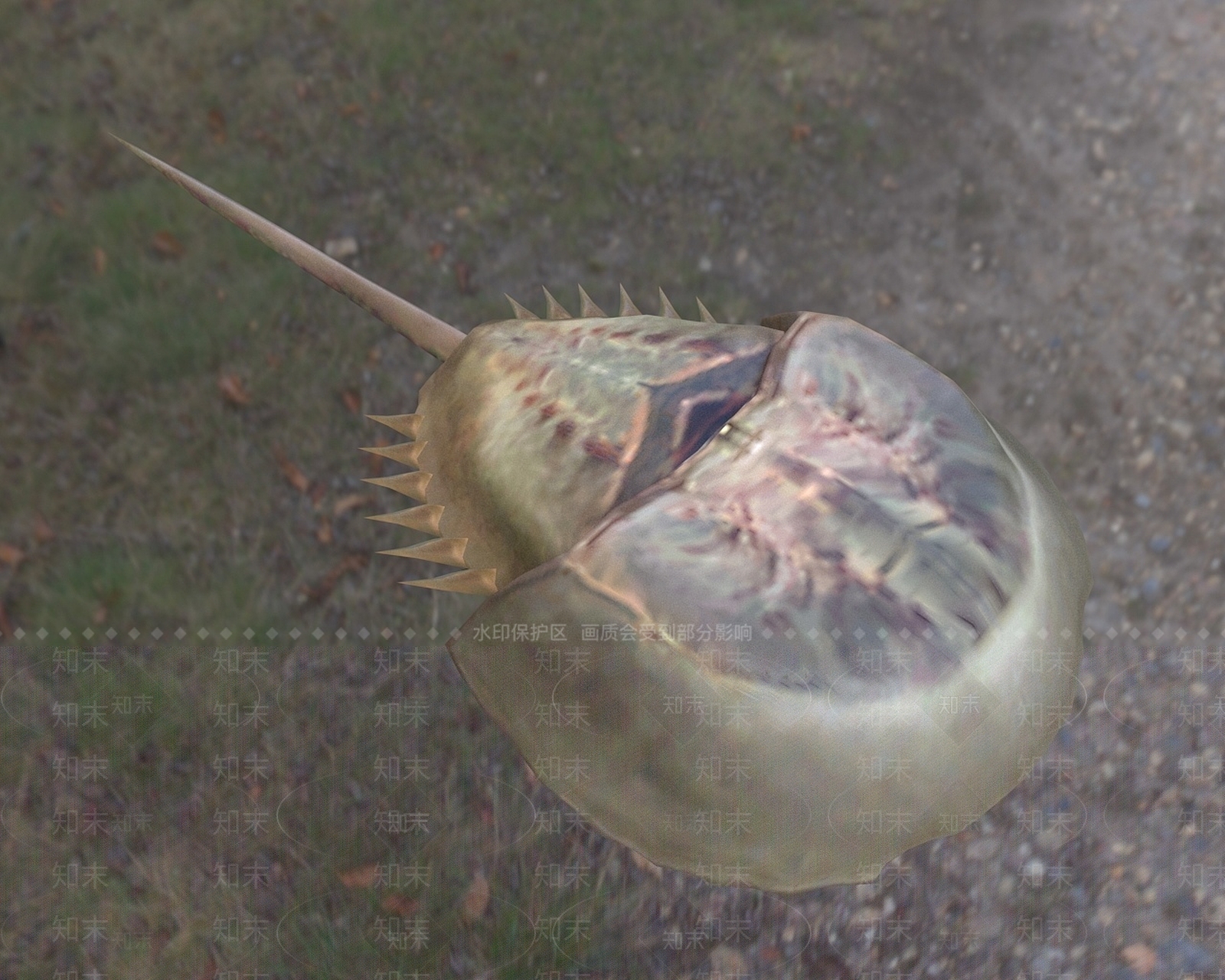 现代爬行类动物3D模型下载【ID:1199354285】