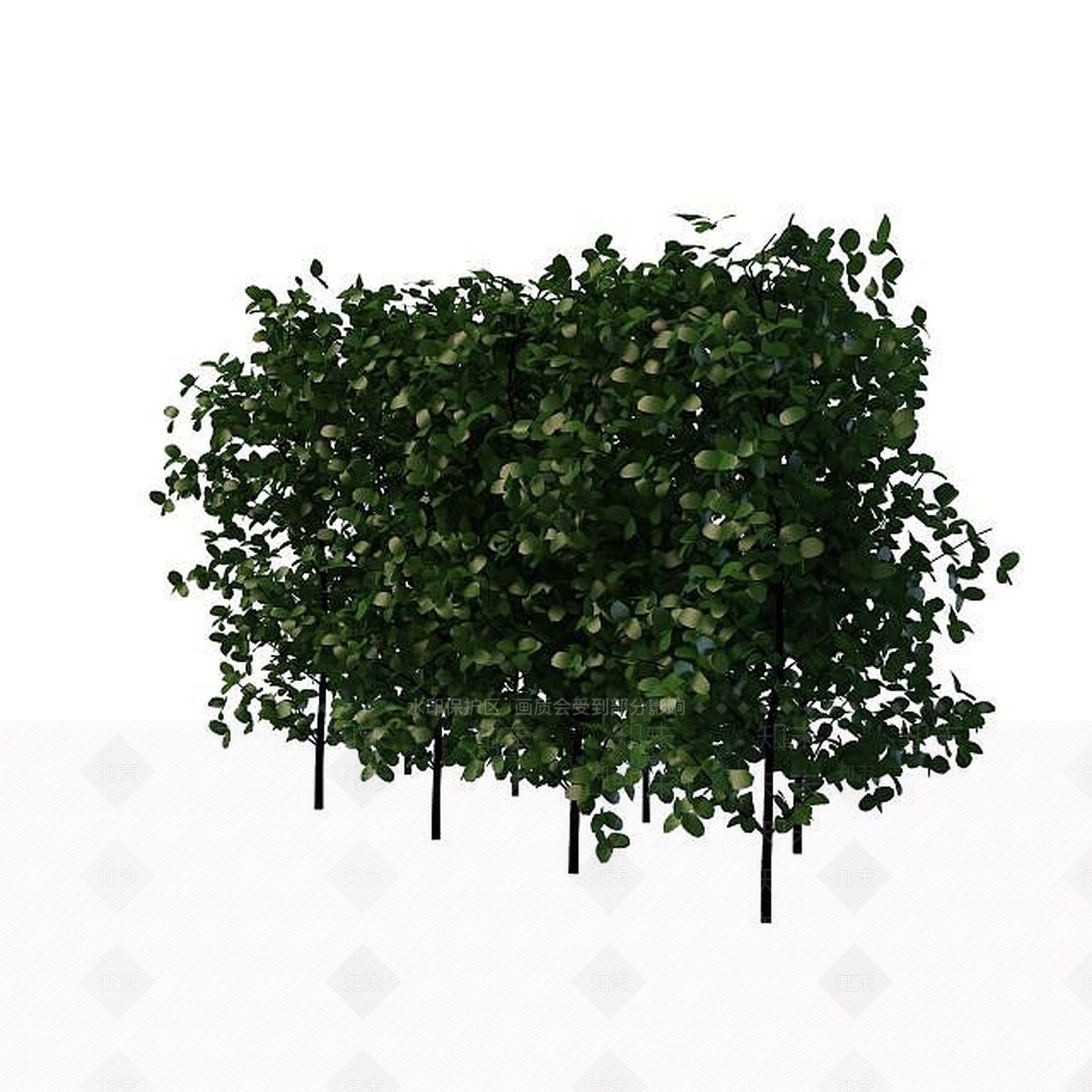 现代灌木3D模型下载【ID:1199353826】