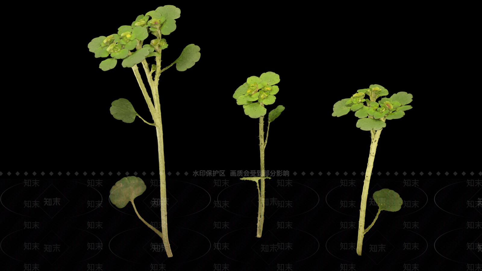 草3D模型下载【ID:1192171610】