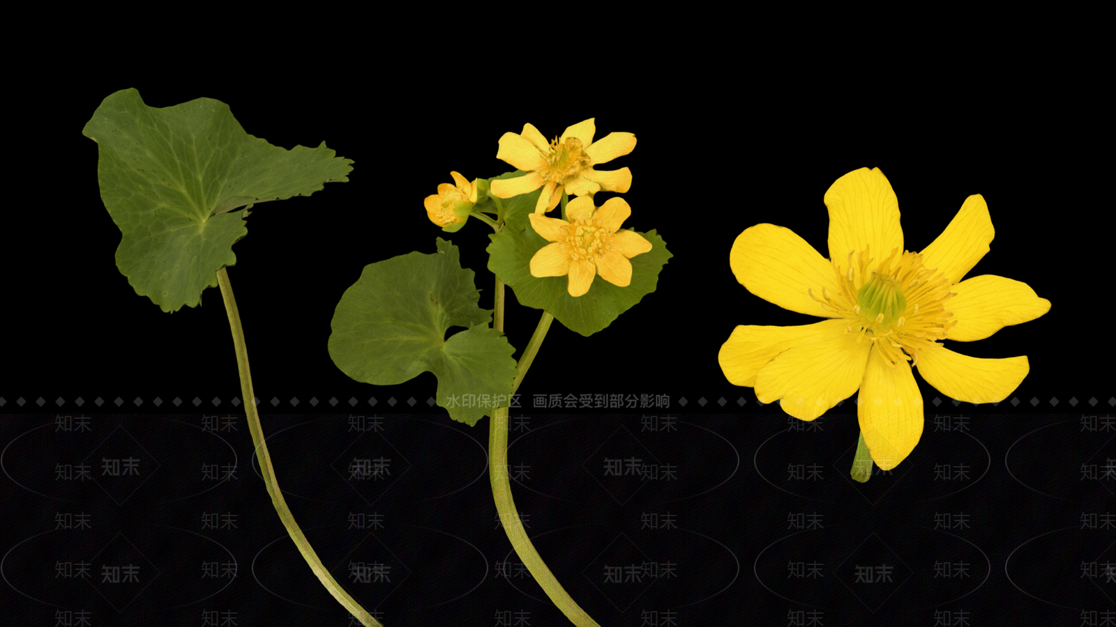 花3D模型下载【ID:1192172125】