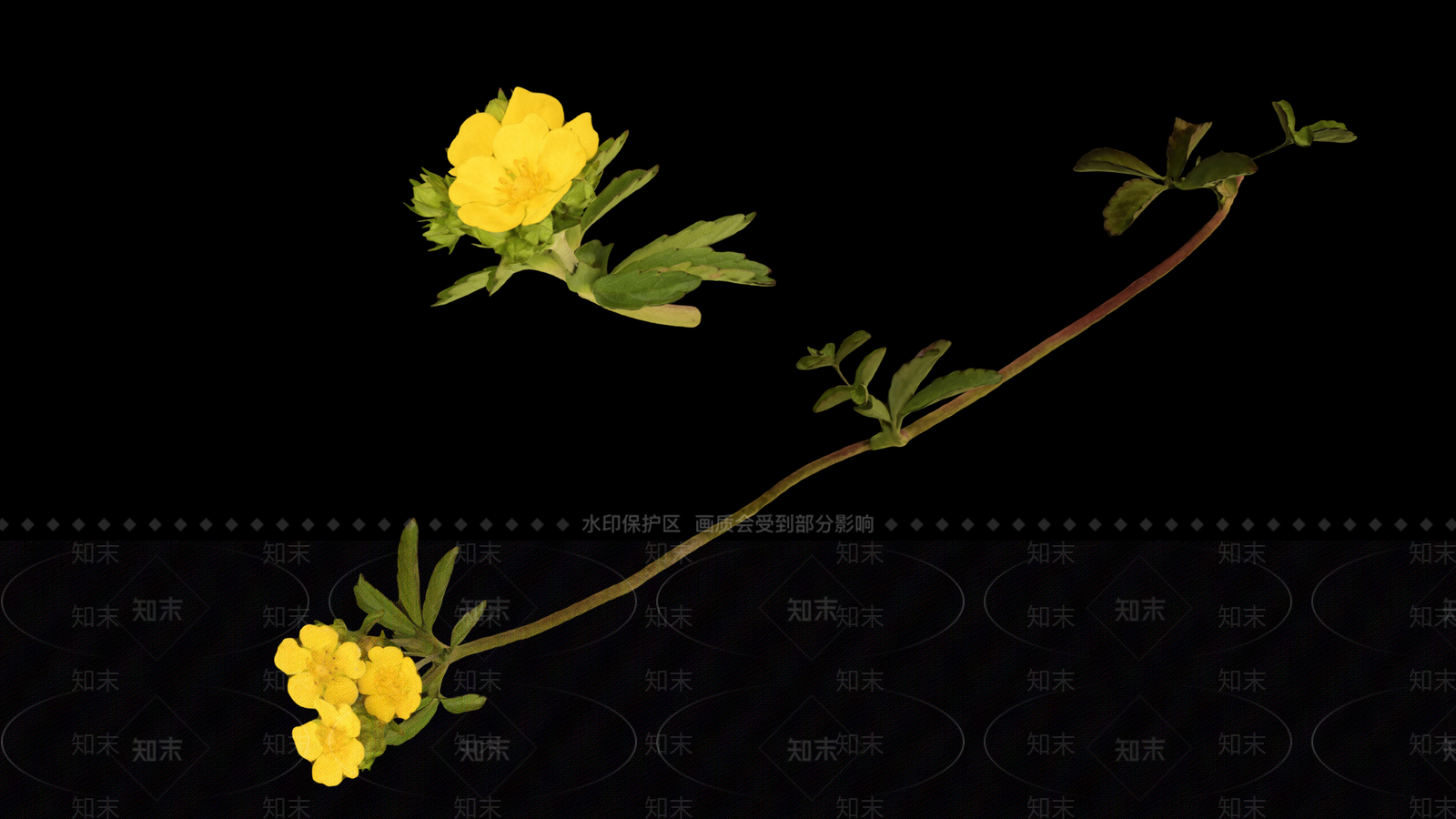 花3D模型下载【ID:1192177477】