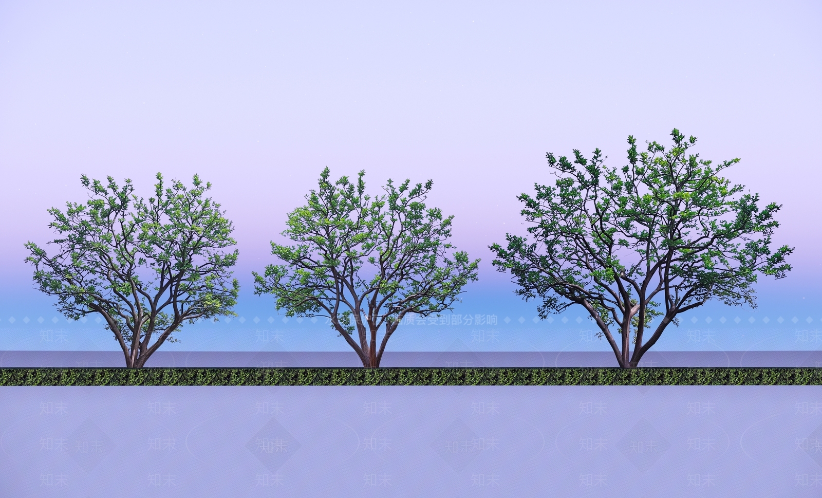 2D精品香橼树SU模型下载【ID:1192190267】