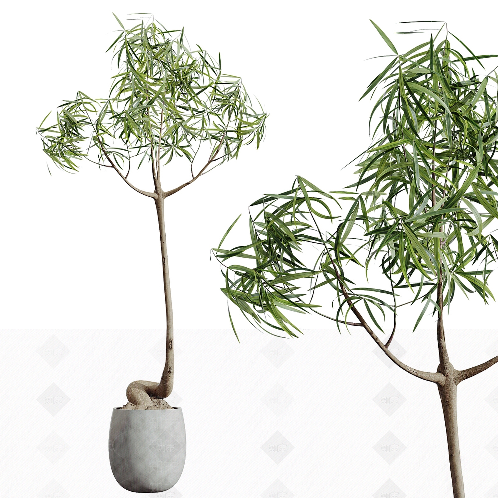 盆栽3D模型下载【ID:1192190956】