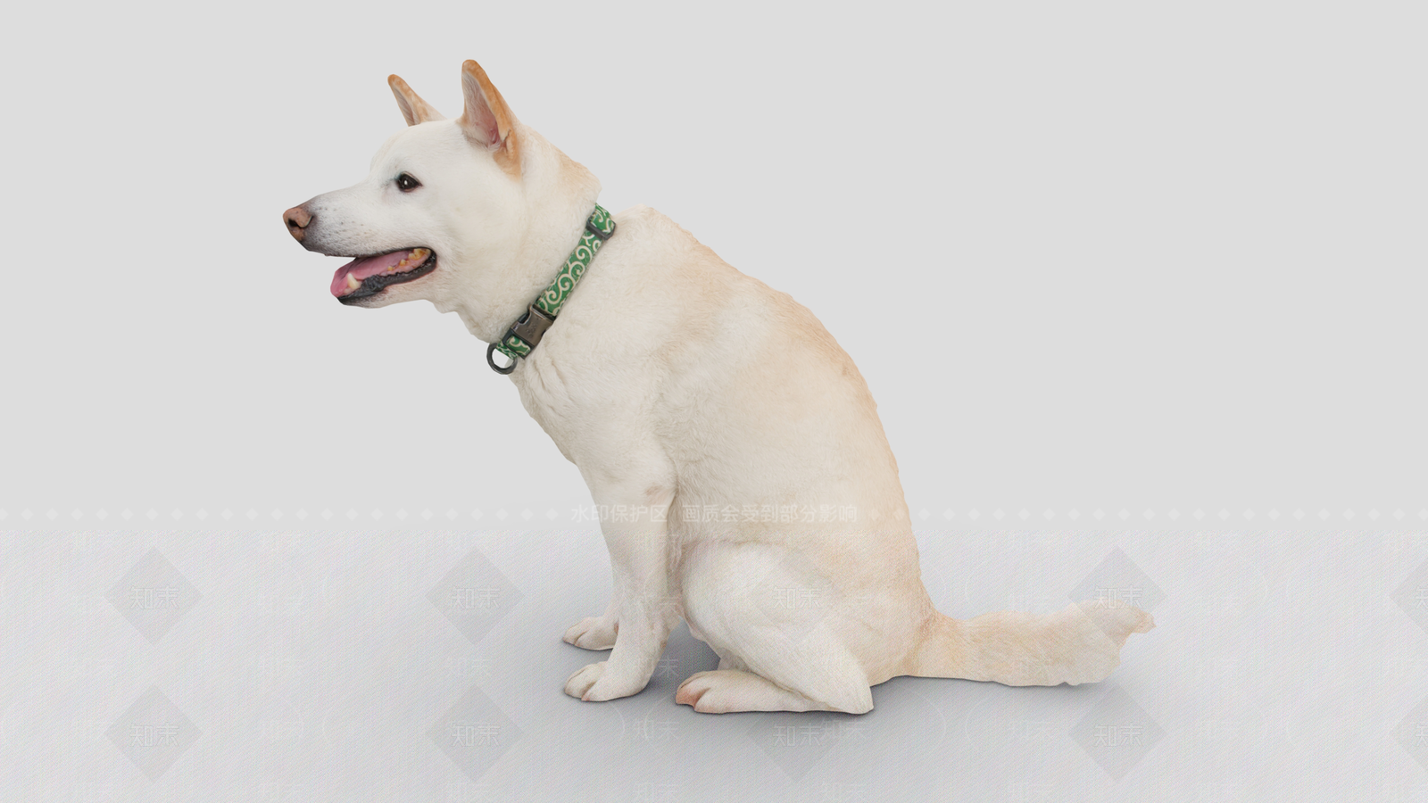 狗3D模型下载【ID:1192195154】