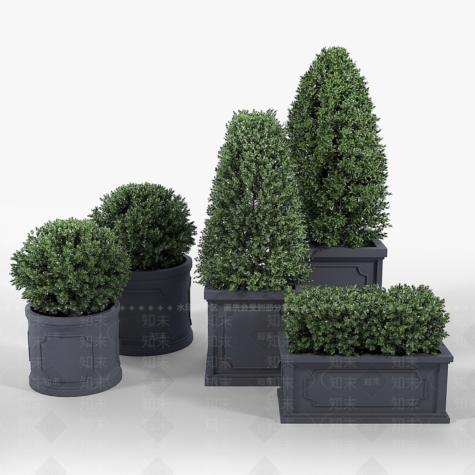 其他绿植3D模型下载【ID:1192215986】
