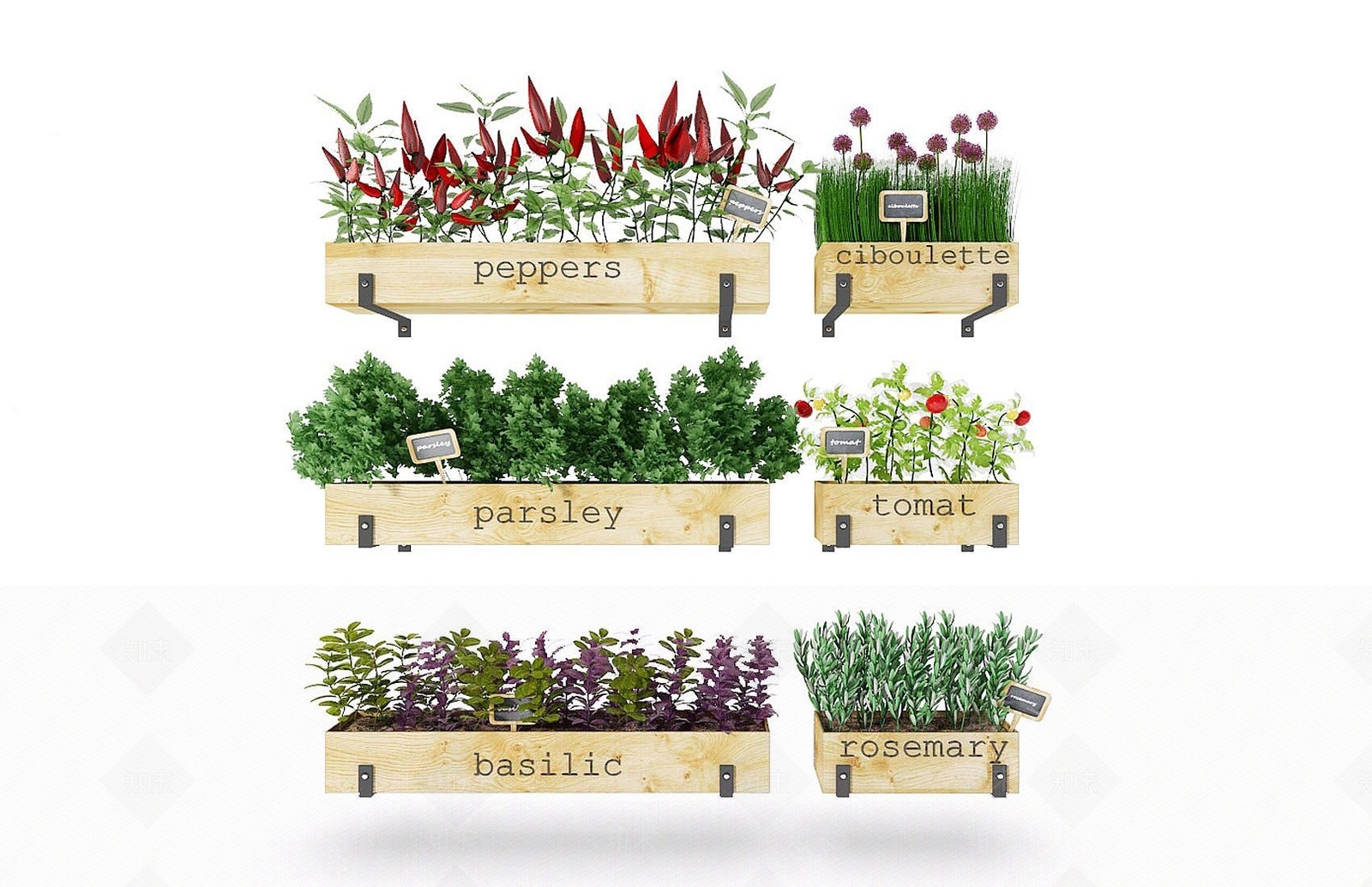 现代装饰植物挂件3D模型下载【ID:1192241212】