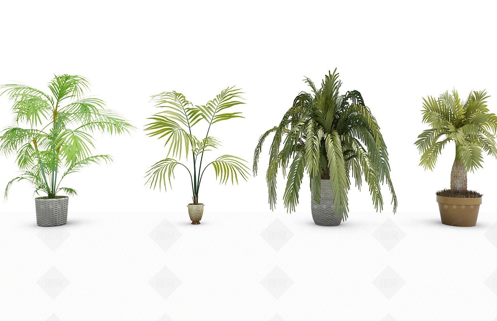 现代盆栽凤尾竹3D模型下载【ID:1192241589】