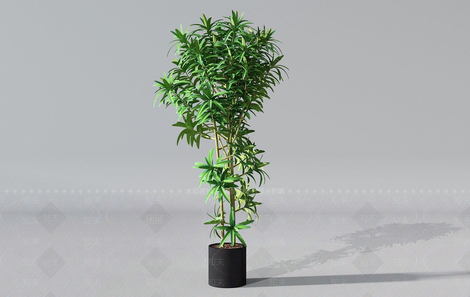 现代盆栽绿竹3D模型下载【ID:1192241613】