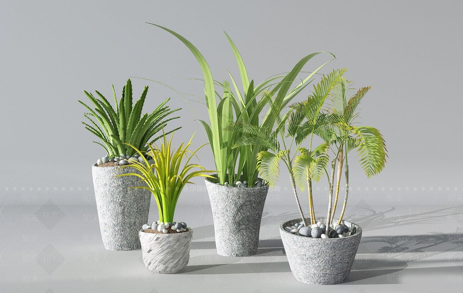 现代盆栽仙人掌花瓶3D模型下载【ID:1192241785】