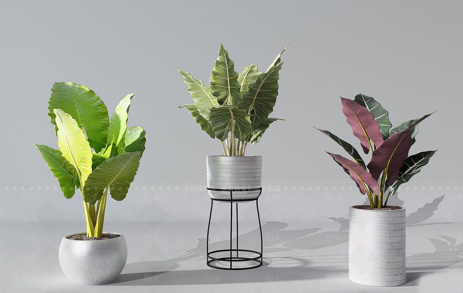 现代绿萝盆栽3D模型下载【ID:1192241831】